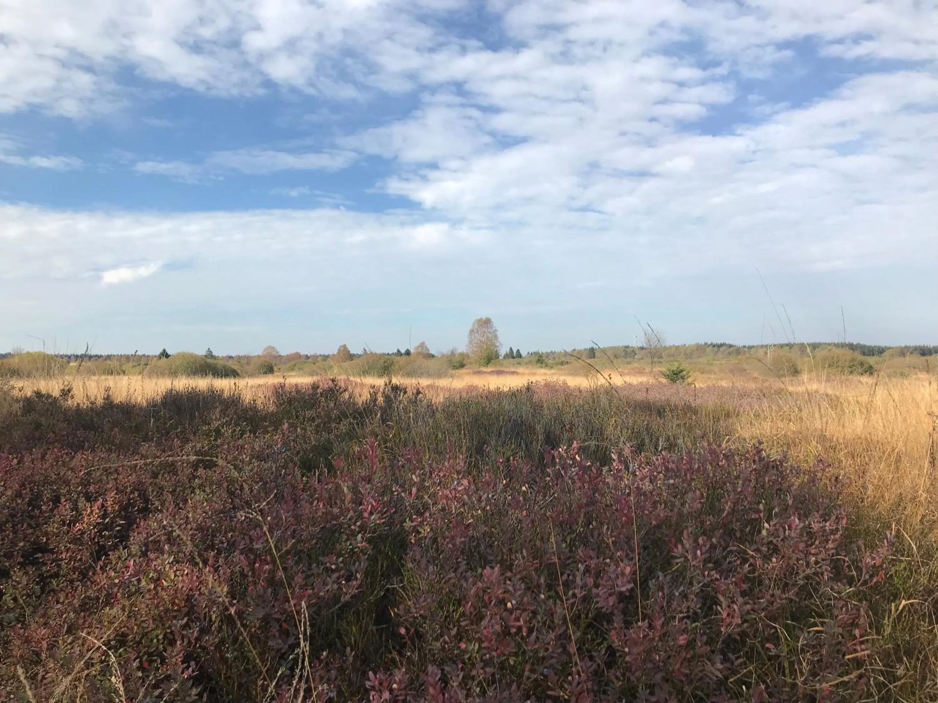 Off site in Hotel Alt Montjoie