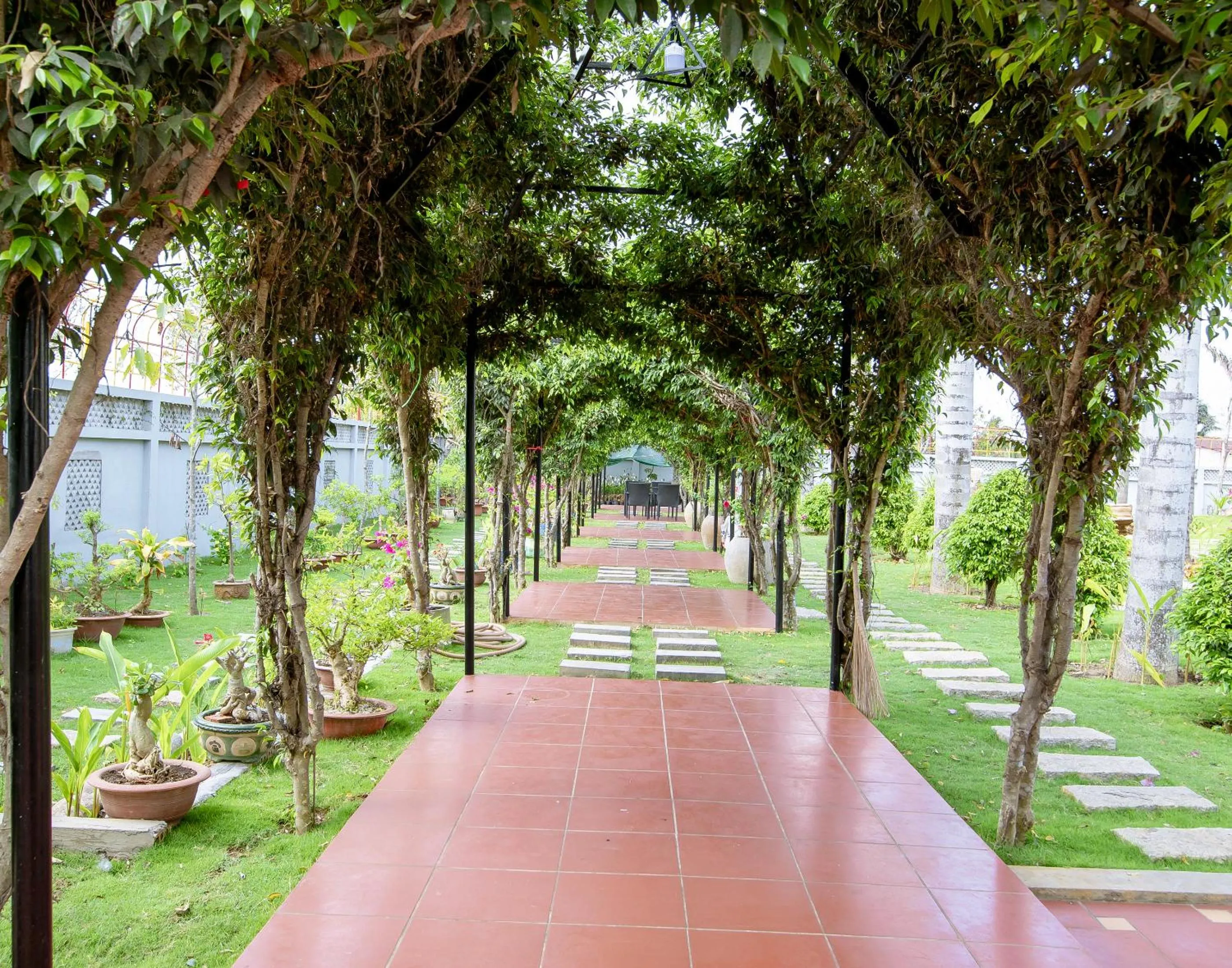 Garden in Thien An Hotel