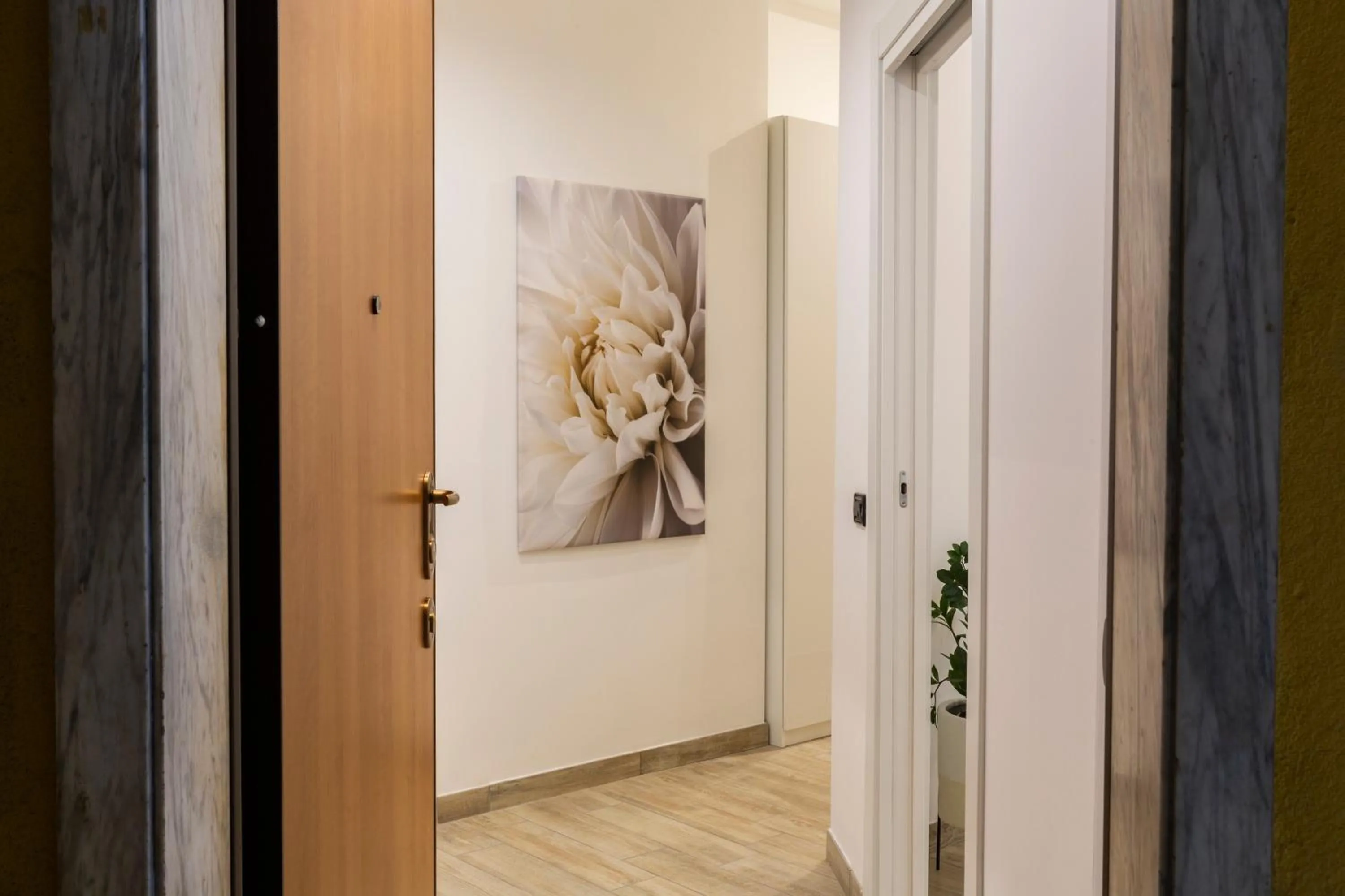 Yellow Line Apartment