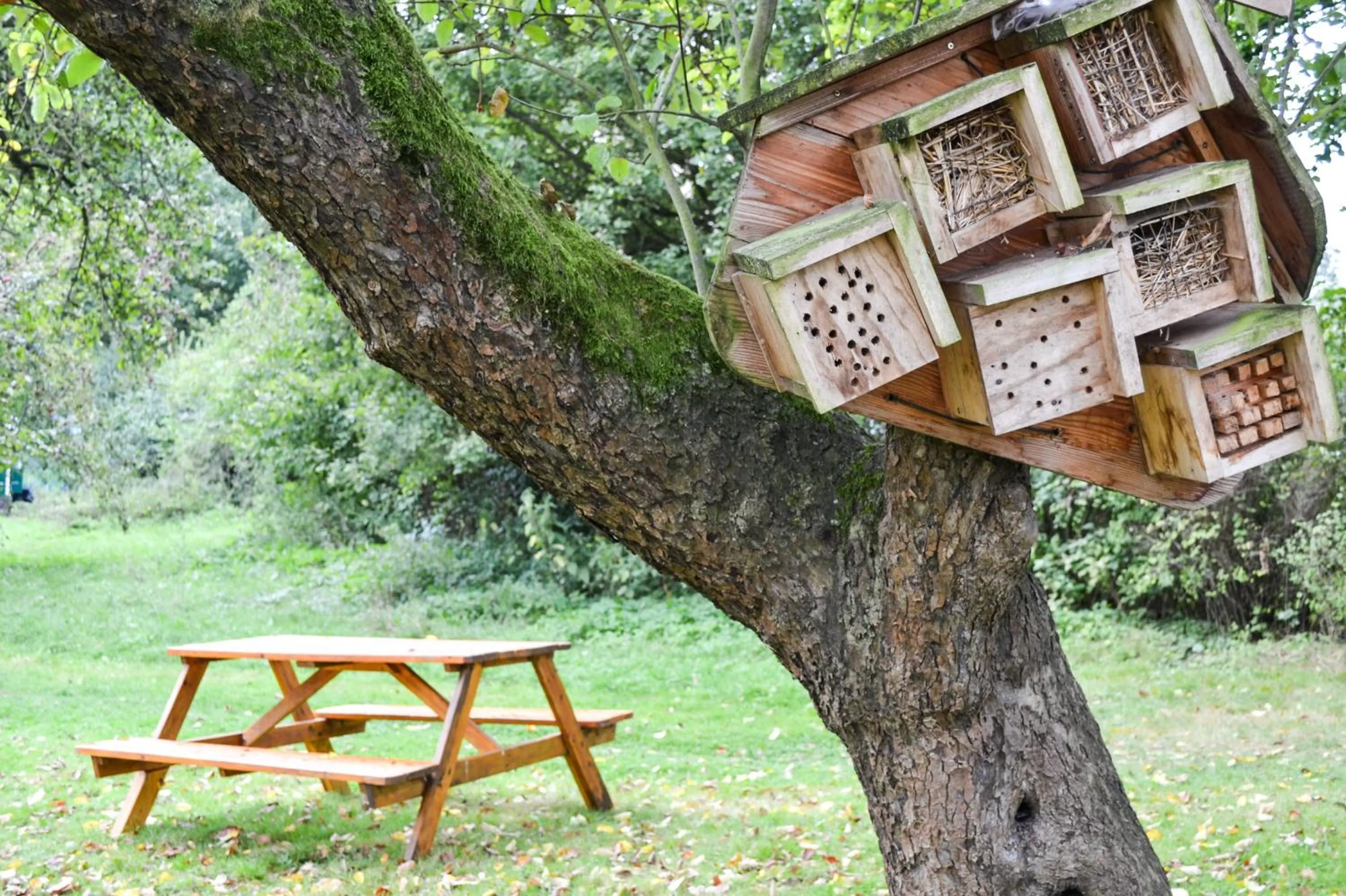 Off site in Denkhaus Loccum