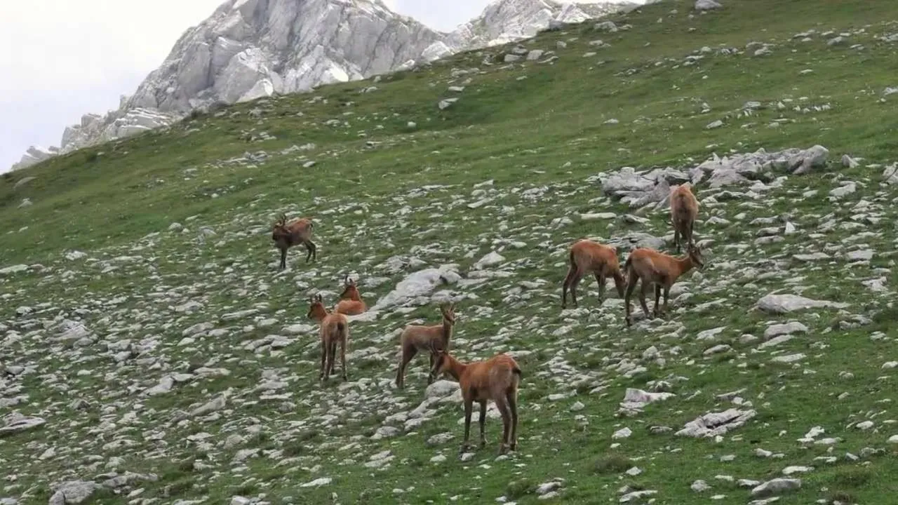 B&B La casa dei nonni