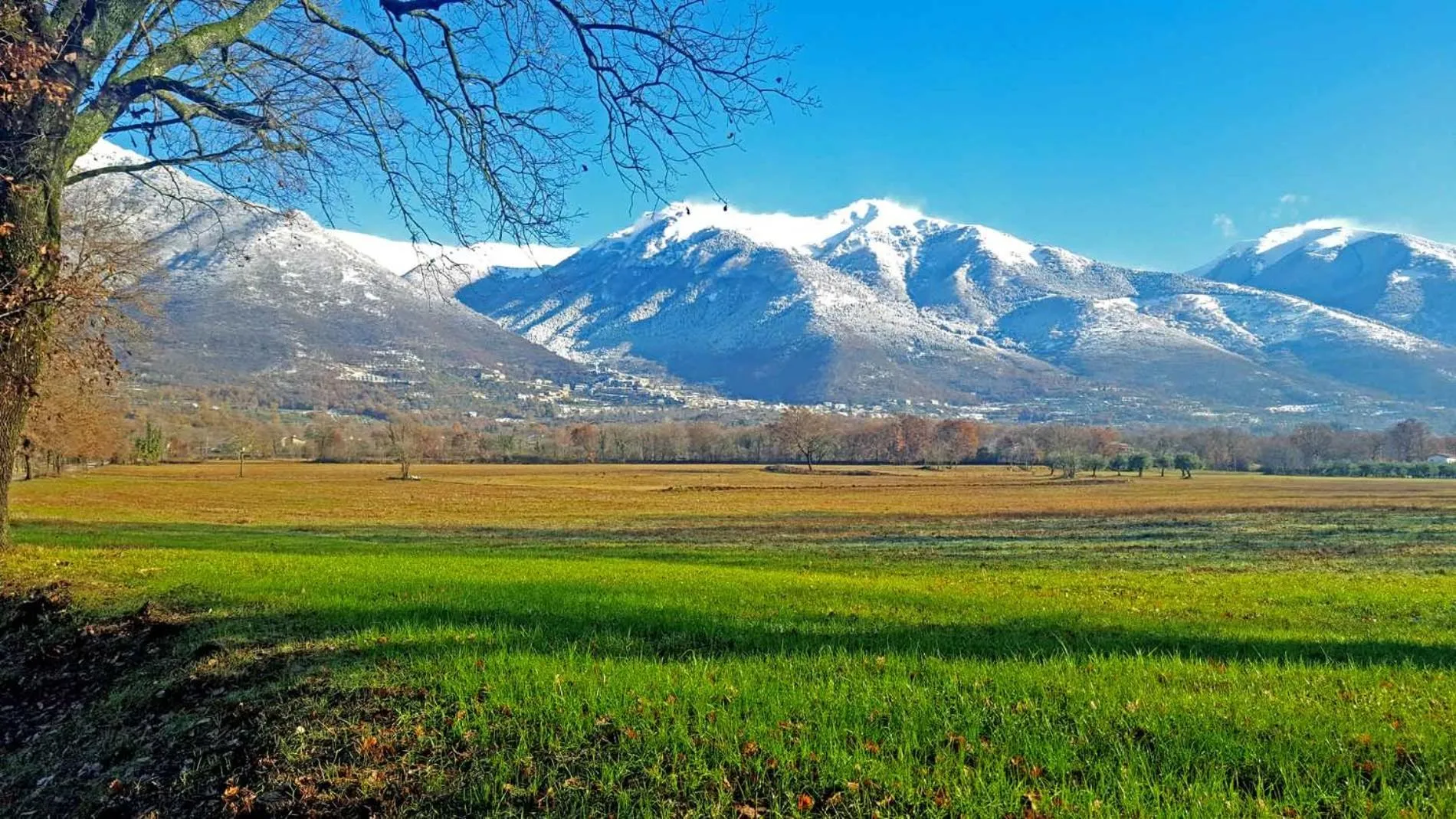 Property building in B&B La casa dei nonni