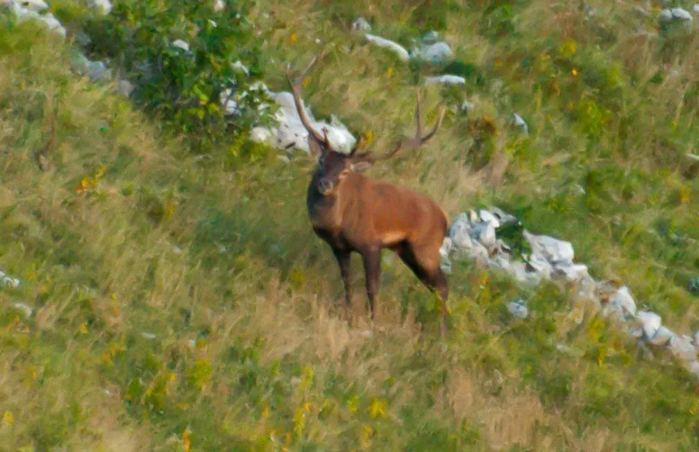 B&B La casa dei nonni