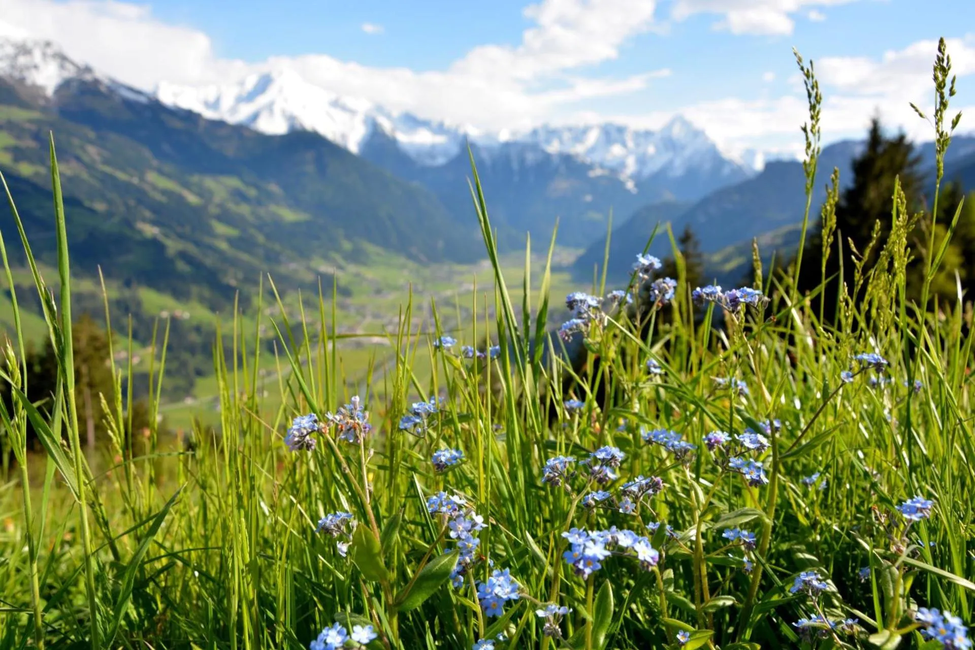 Natural landscape in MalisGarten Green Spa Hotel - Adults Only