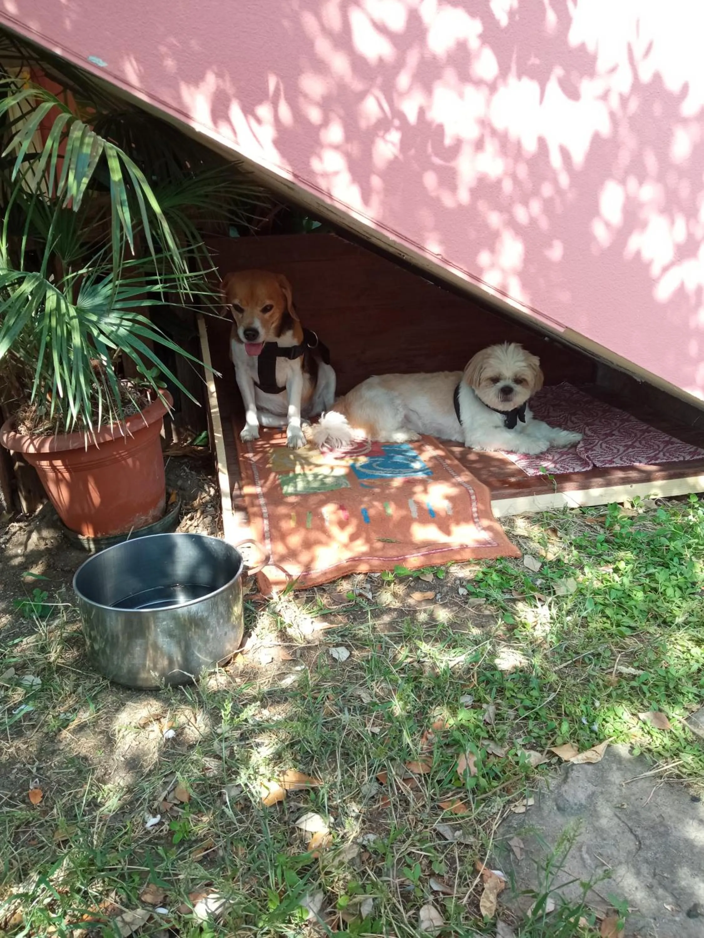 Corona Bed & Breakfast