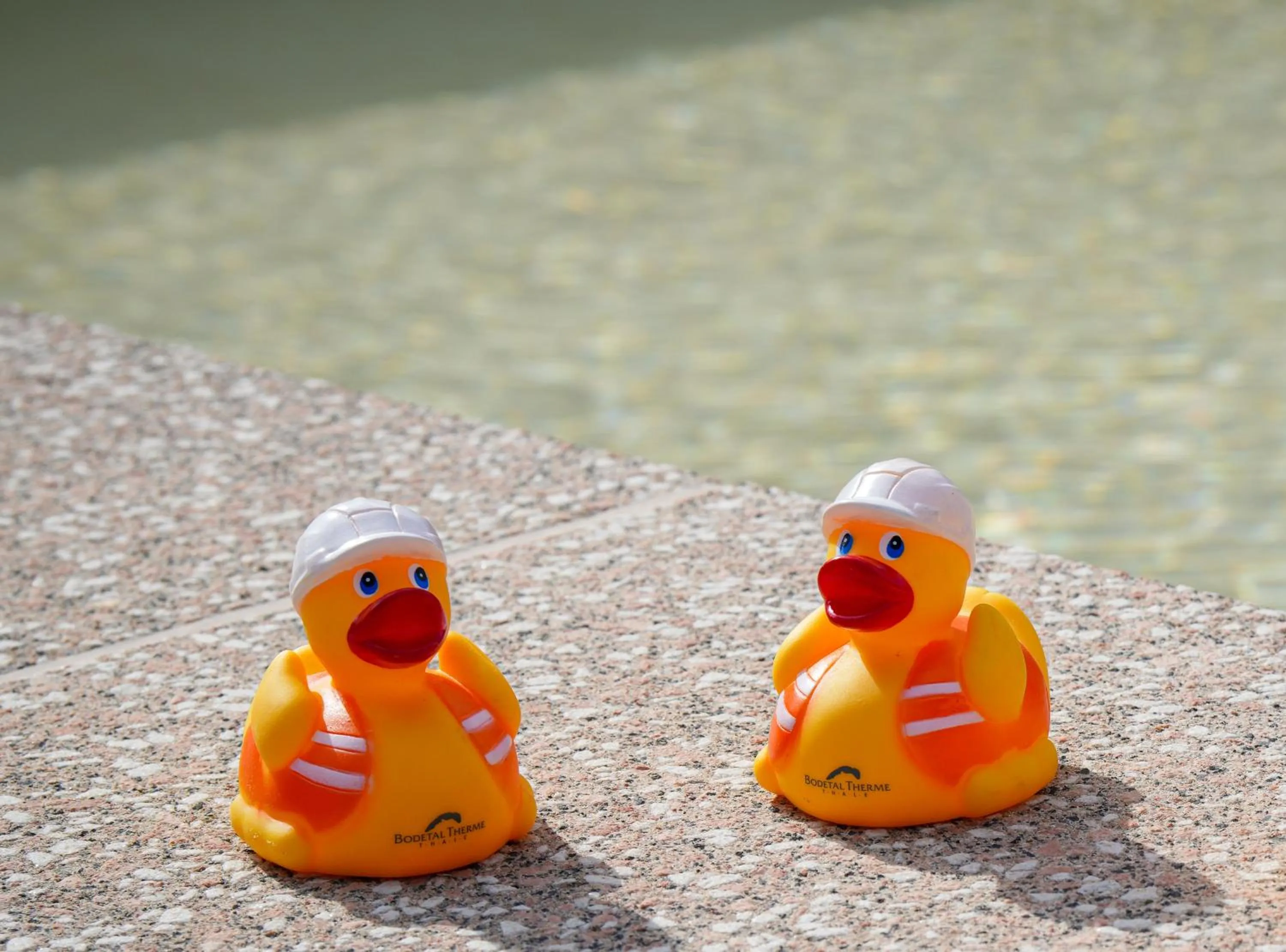 Swimming pool in Hotelpark Bodetal mit Ferienwohnungen