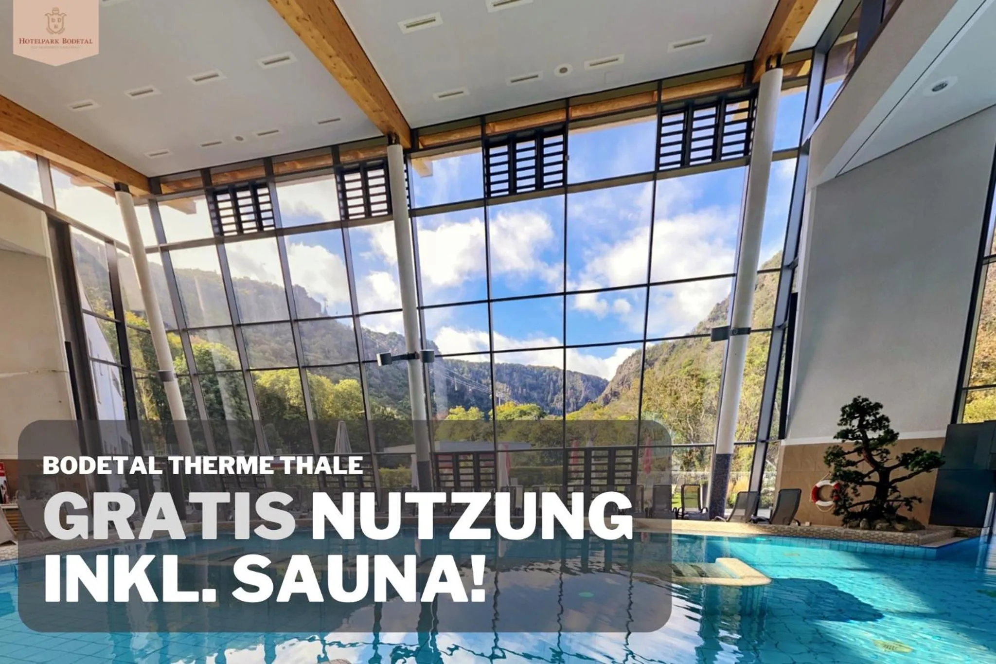 Swimming pool in Hotelpark Bodetal mit Ferienwohnungen