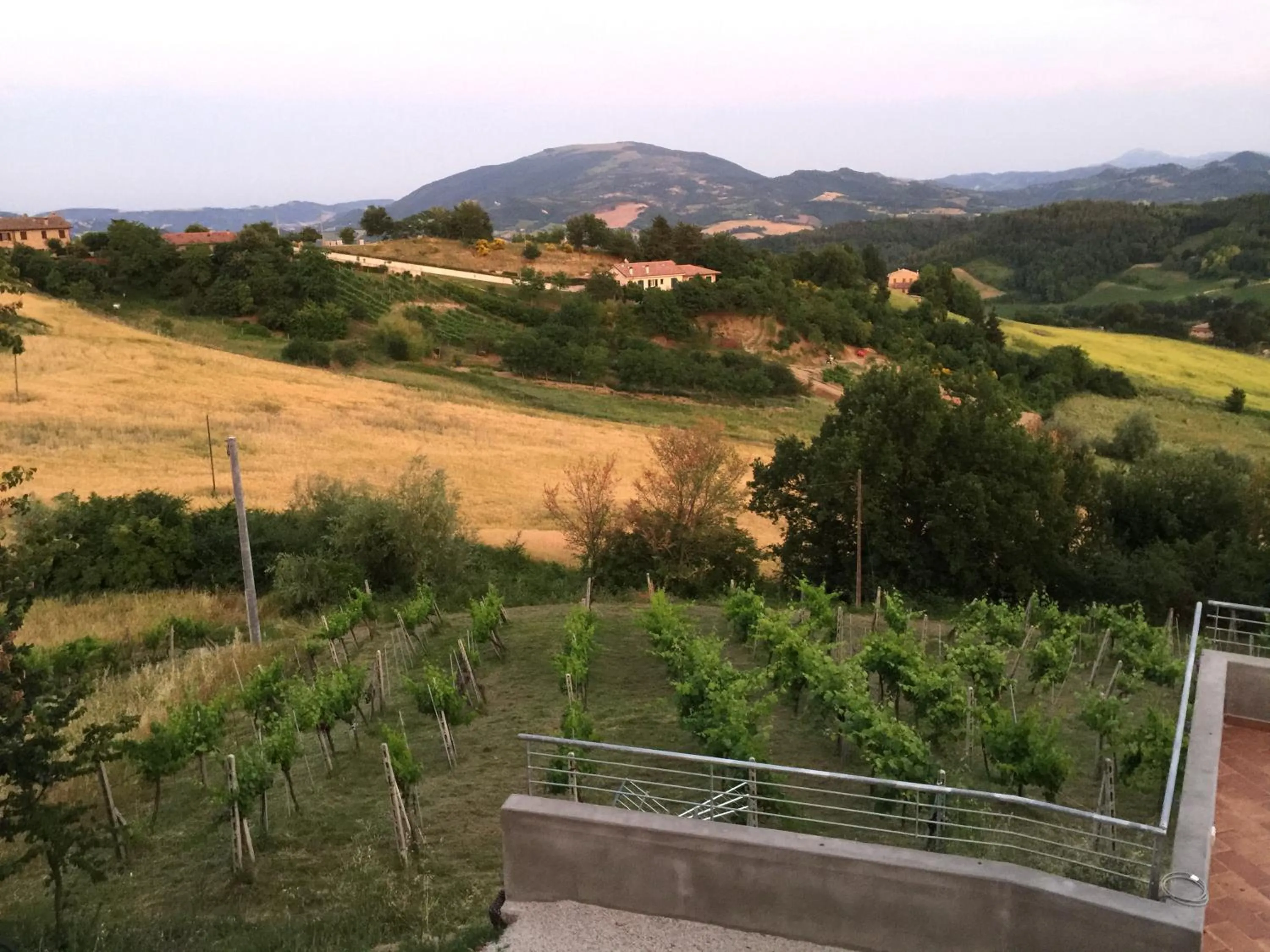 Natural landscape in Green B&B Urbino Cá del vento