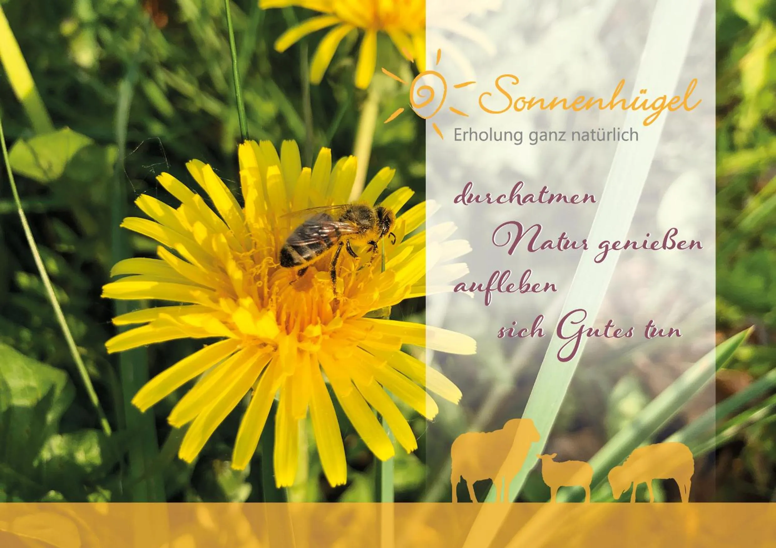 Summer in Hotel Sonnenhügel