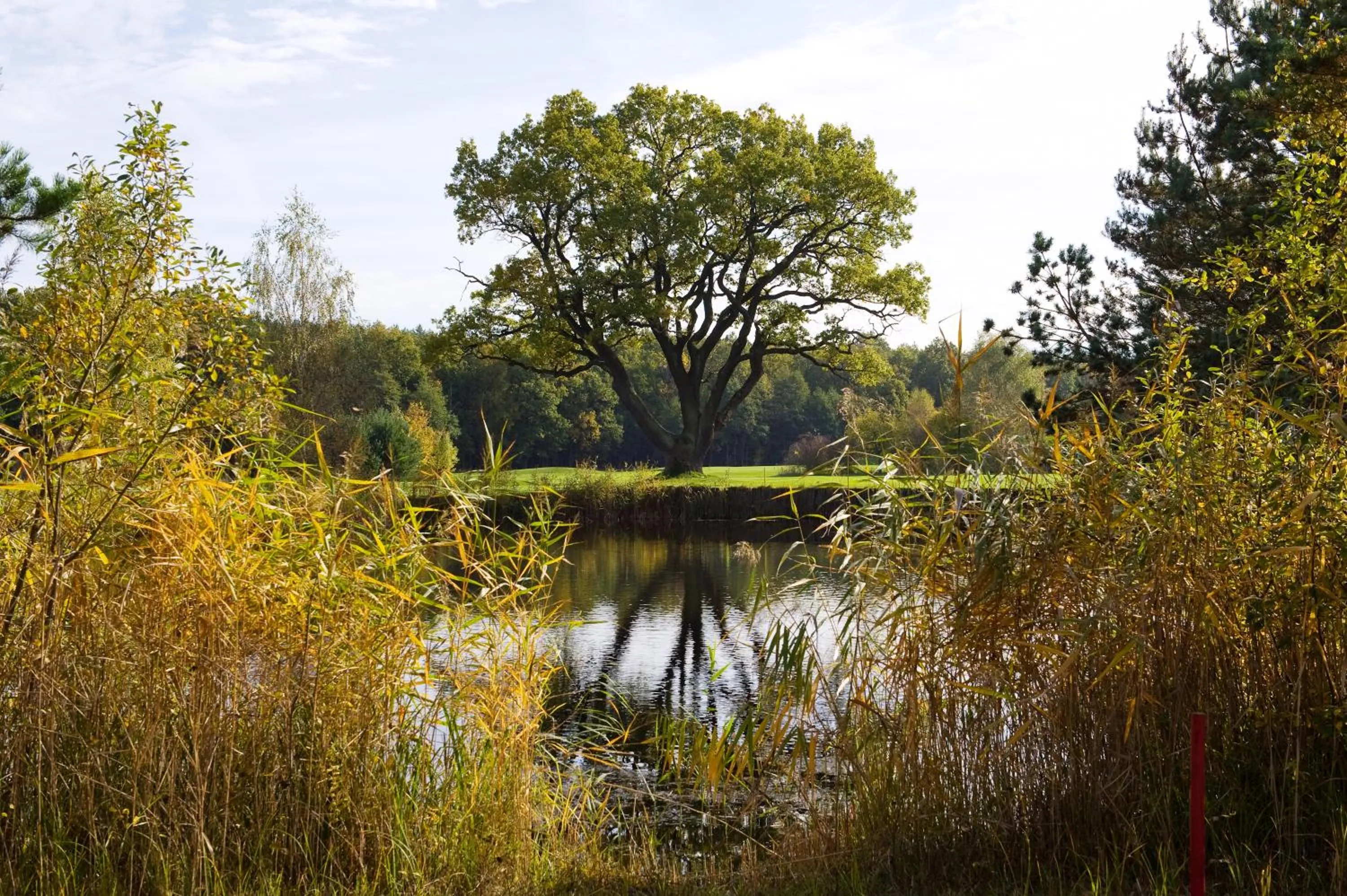 Golfcourse in GolfResort Semlin