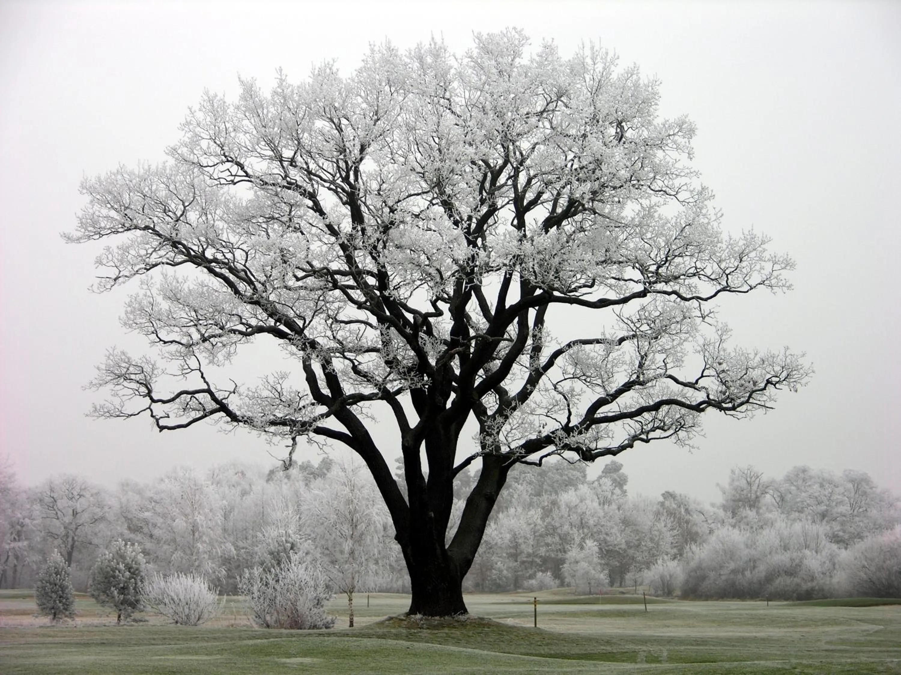 Natural landscape in GolfResort Semlin
