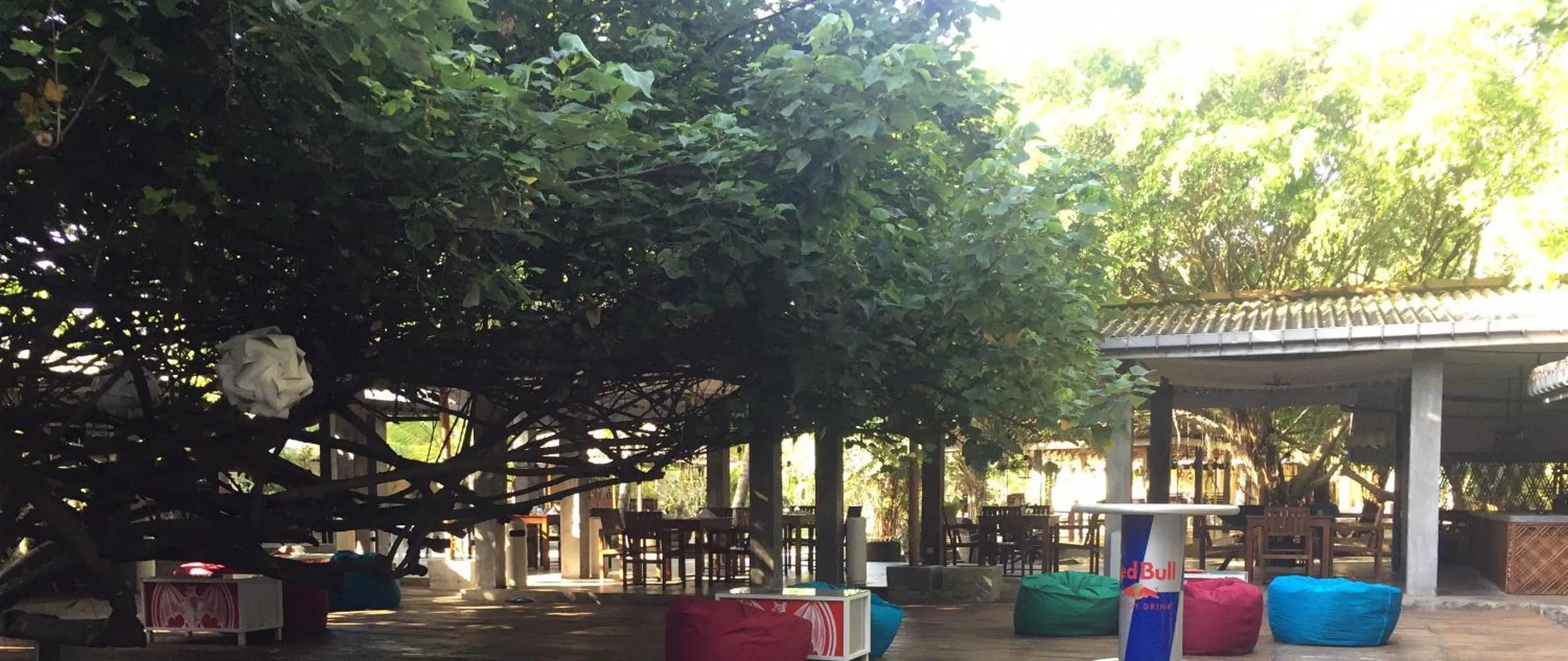 Garden in Hotel Vibration