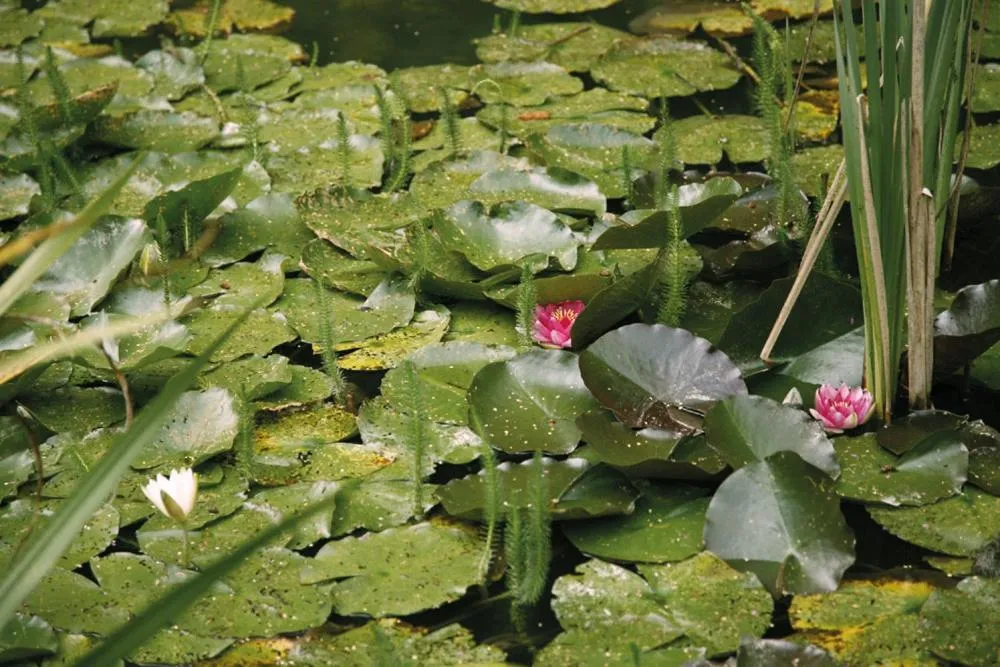 Other in Das Jagdhaus Waldidyll Erzgebirge