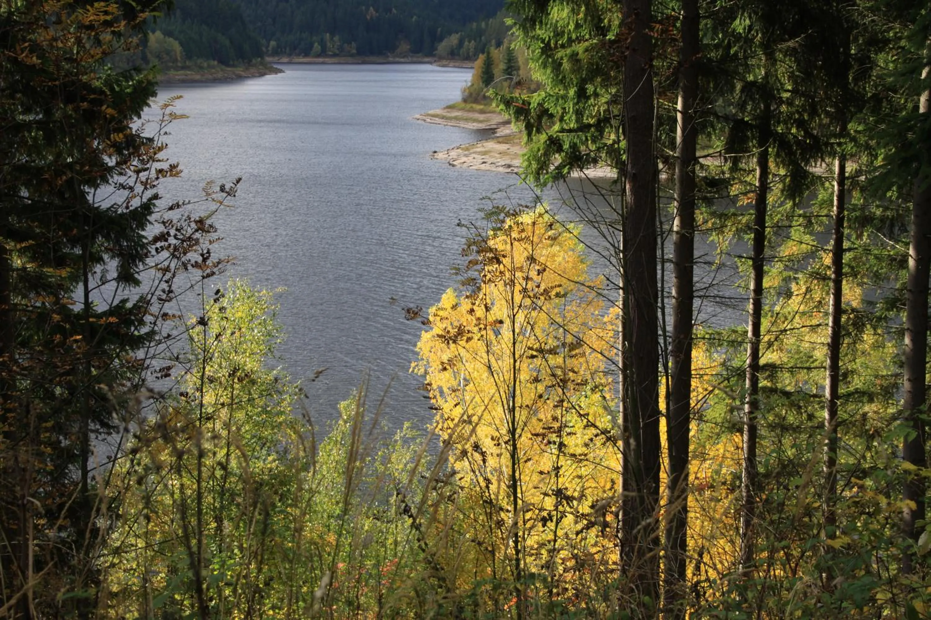 Hiking in Das Jagdhaus Waldidyll Erzgebirge
