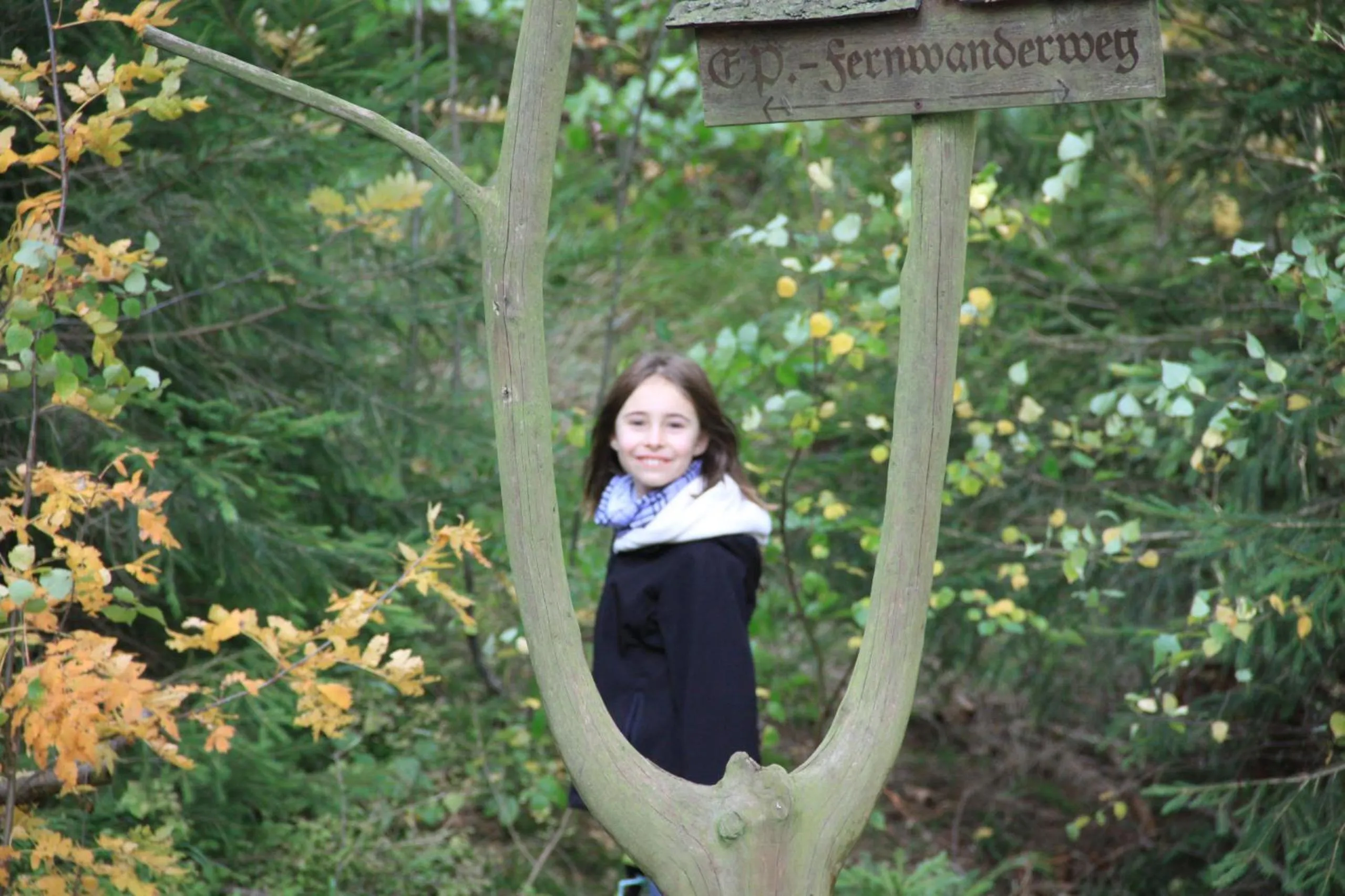 Hiking in Das Jagdhaus Waldidyll Erzgebirge