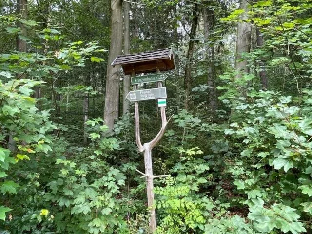 Hiking in Das Jagdhaus Waldidyll Erzgebirge
