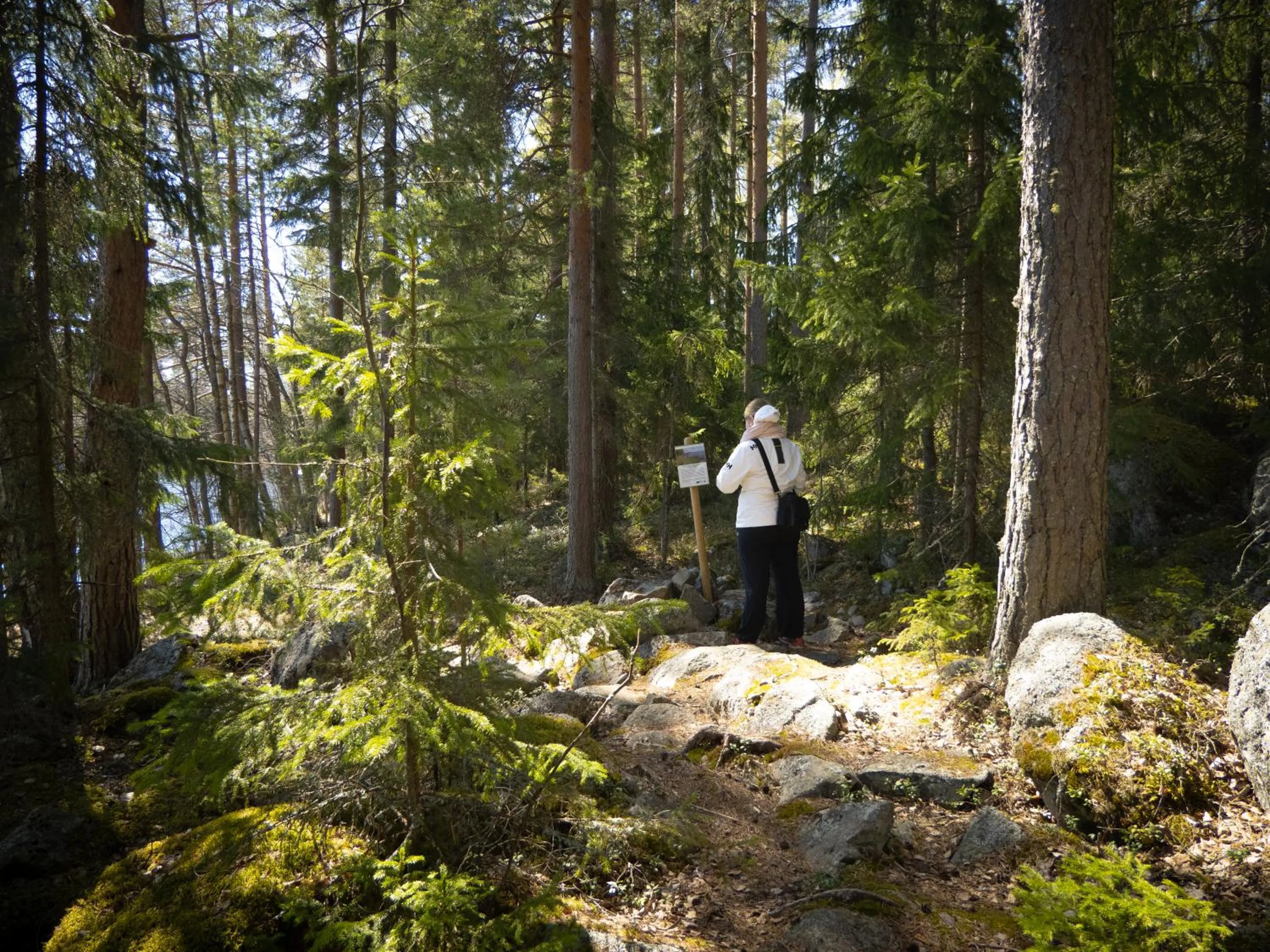 Hiking in Keurusselkä Resort