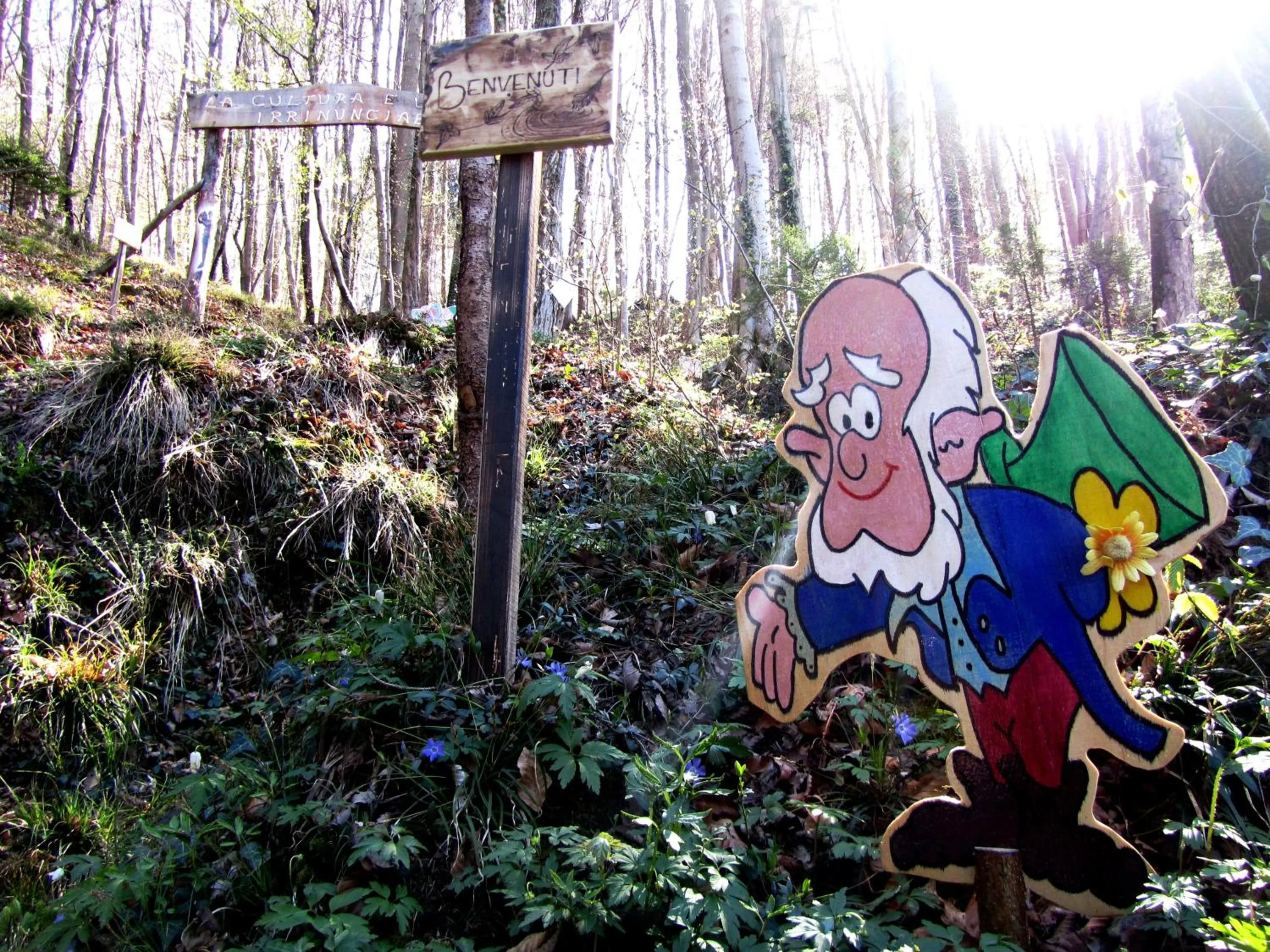 B&B Sopra il Portico