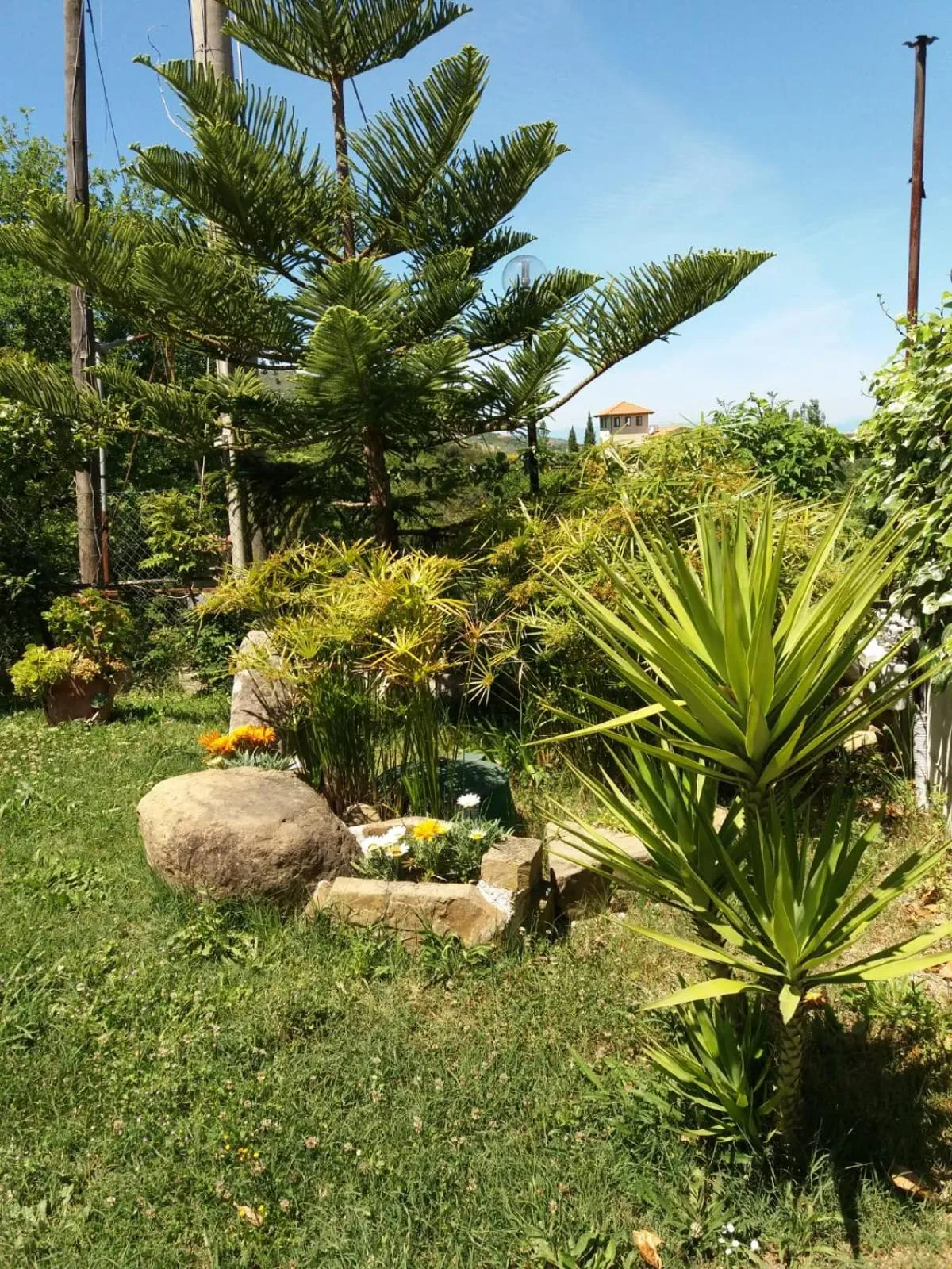 Garden in B&B Parco del Lago