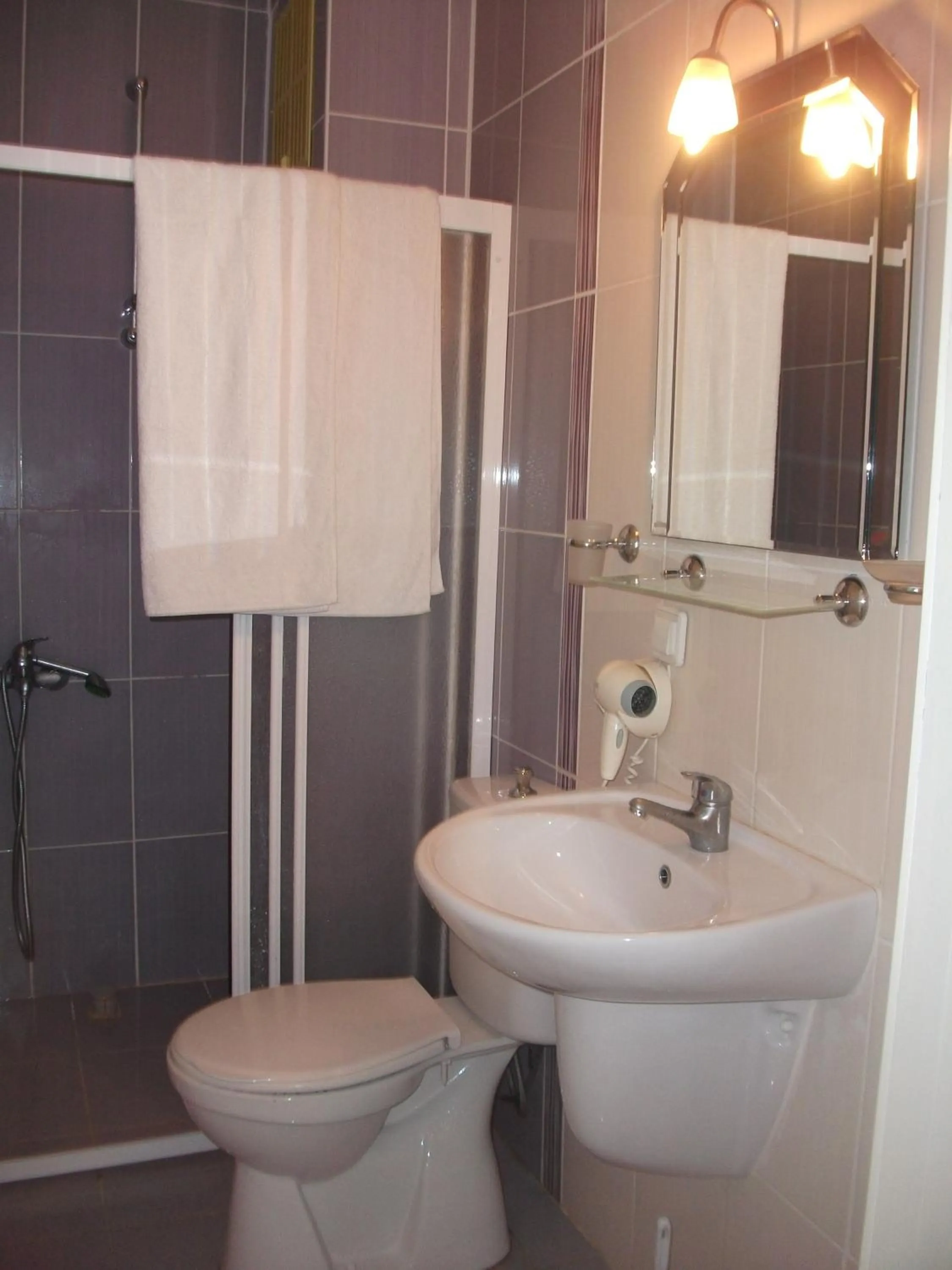 Bathroom in Delphin Hotel Side