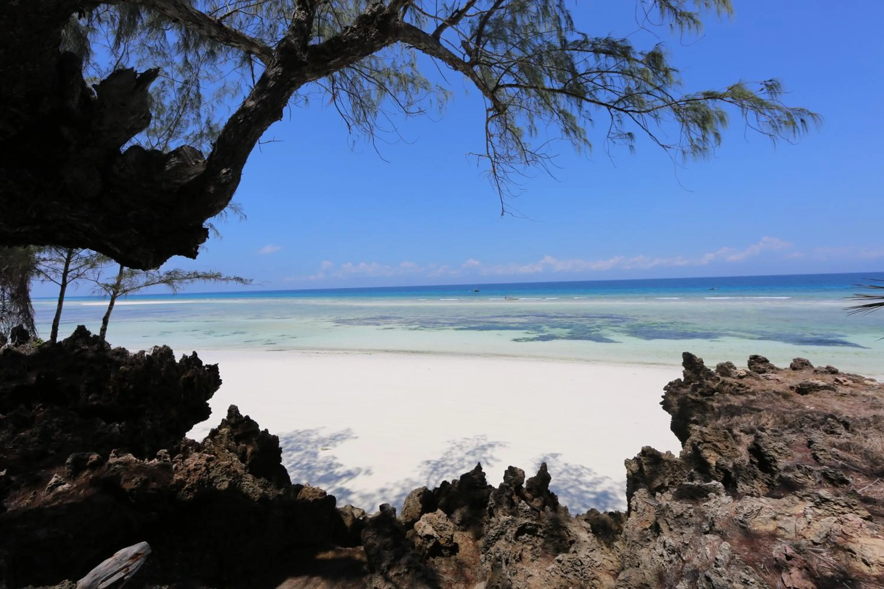 View (from property/room) in Unguja Lodge