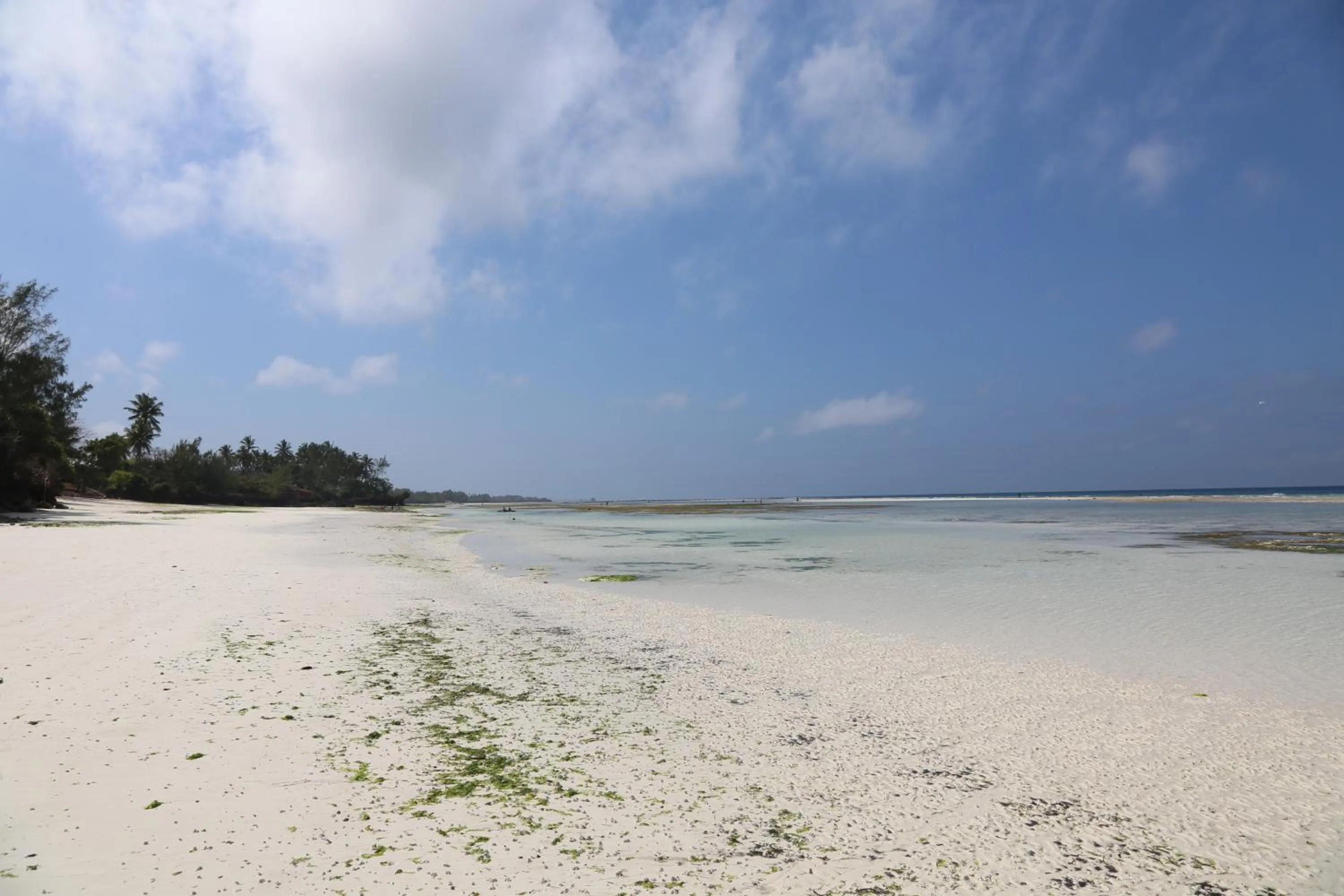 Beach in Unguja Lodge