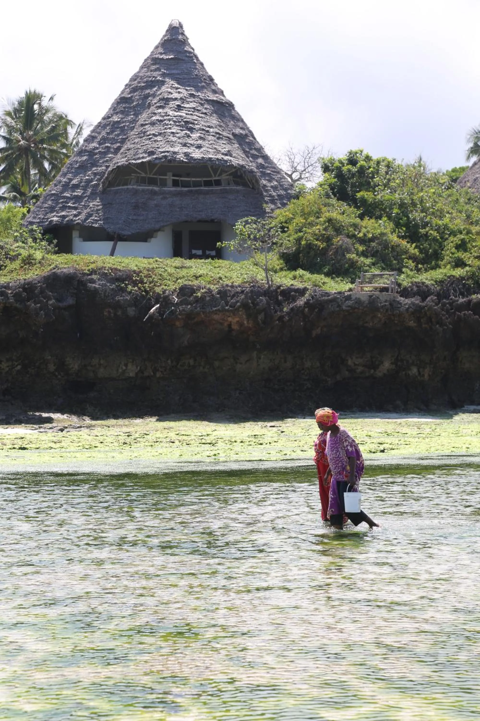 View (from property/room) in Unguja Lodge