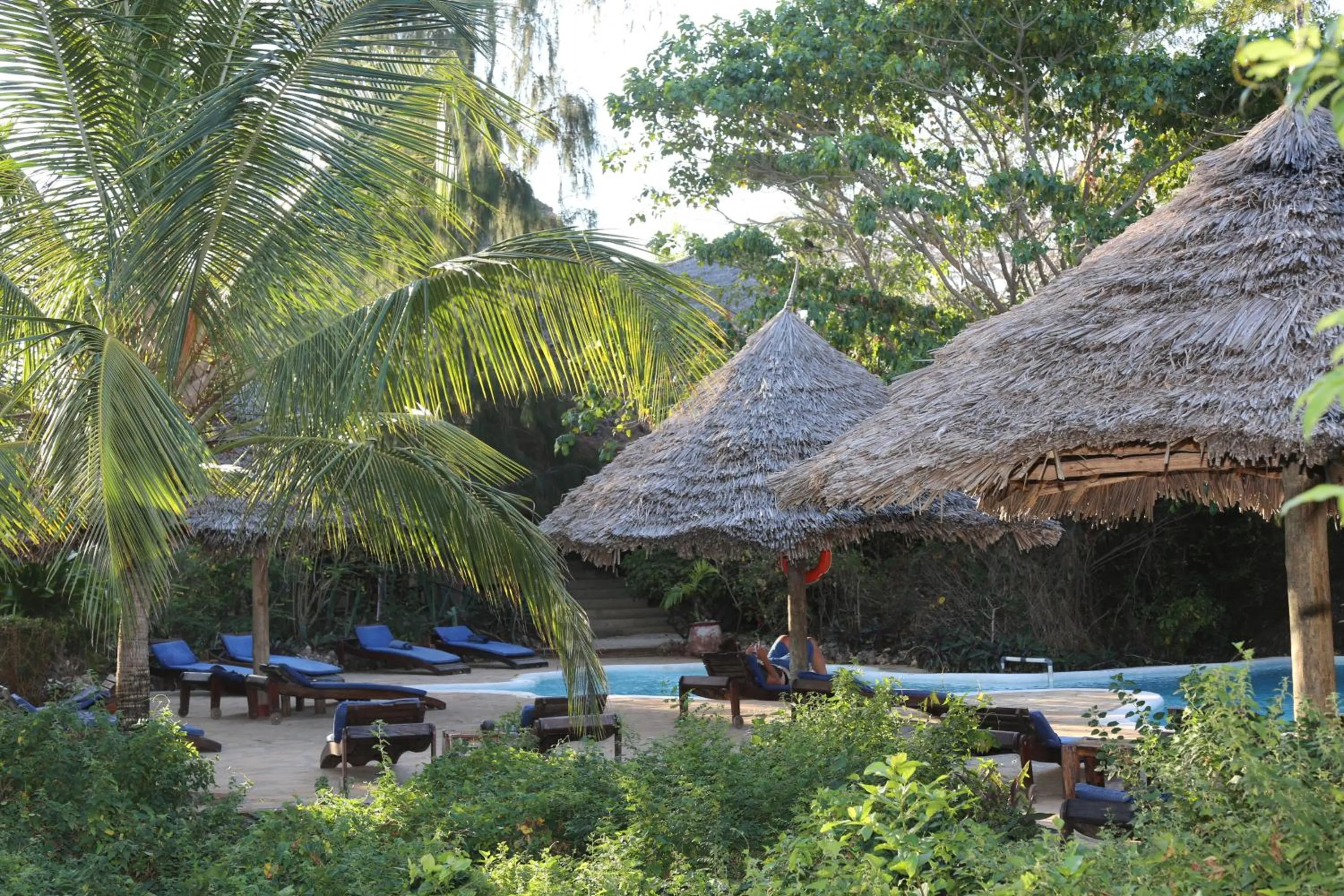 Pool view in Unguja Lodge