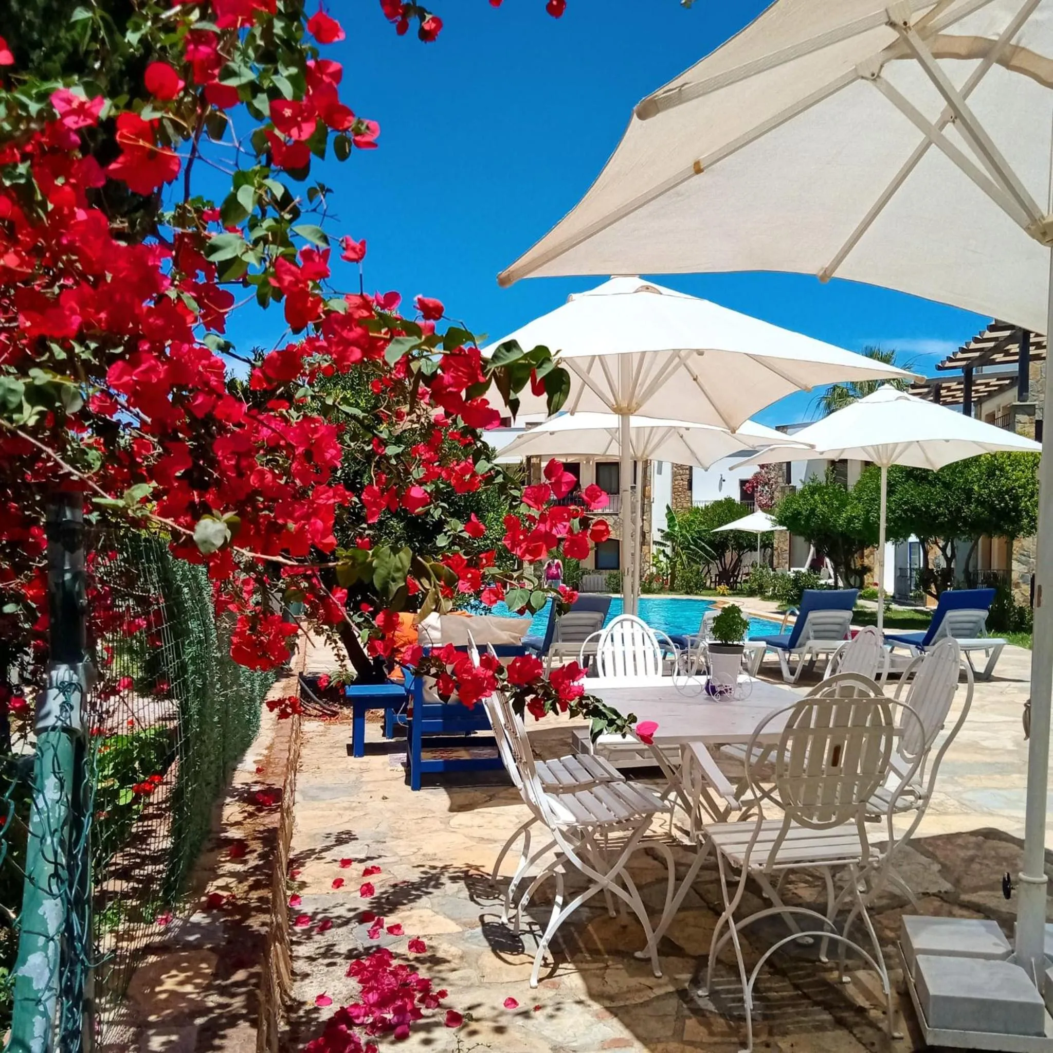 Breakfast in The Mara Suite