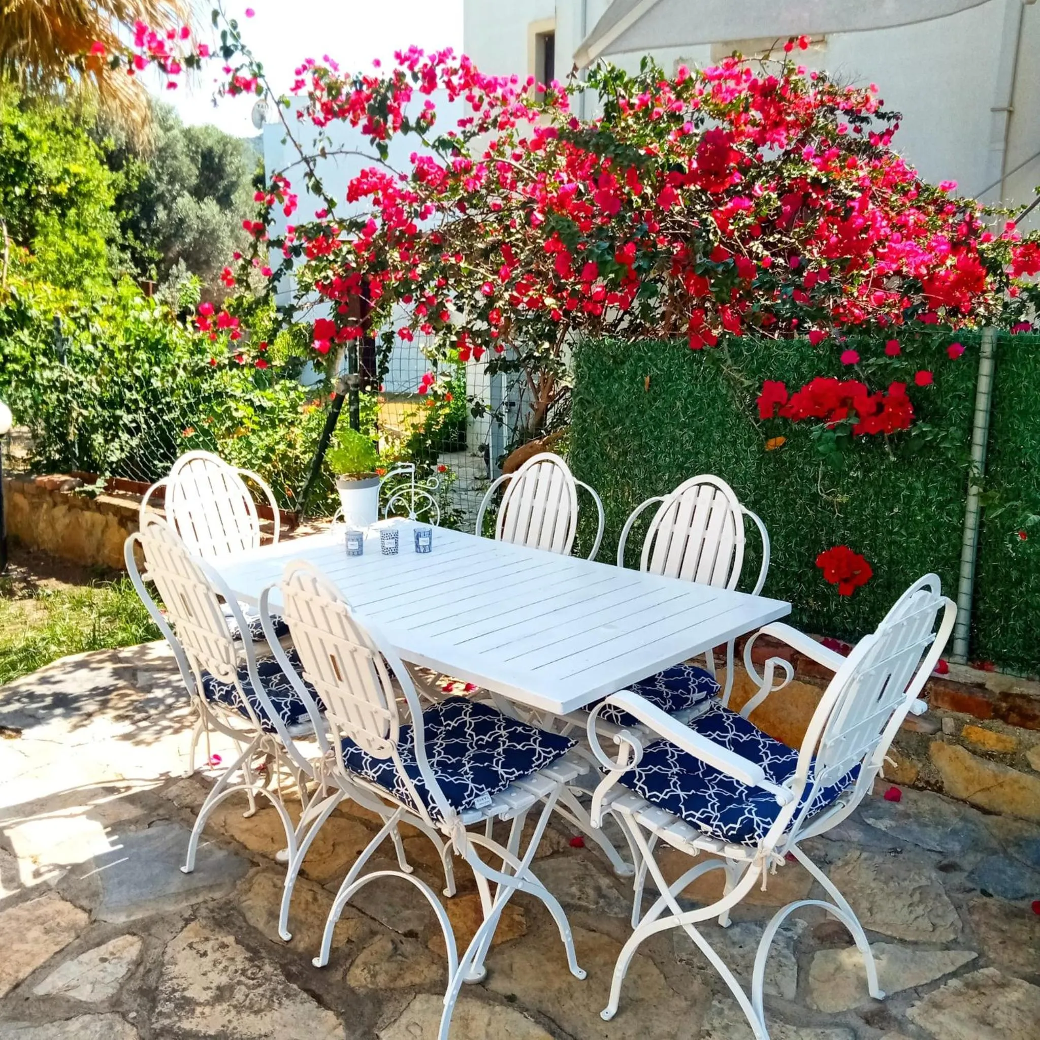 Patio in The Mara Suite