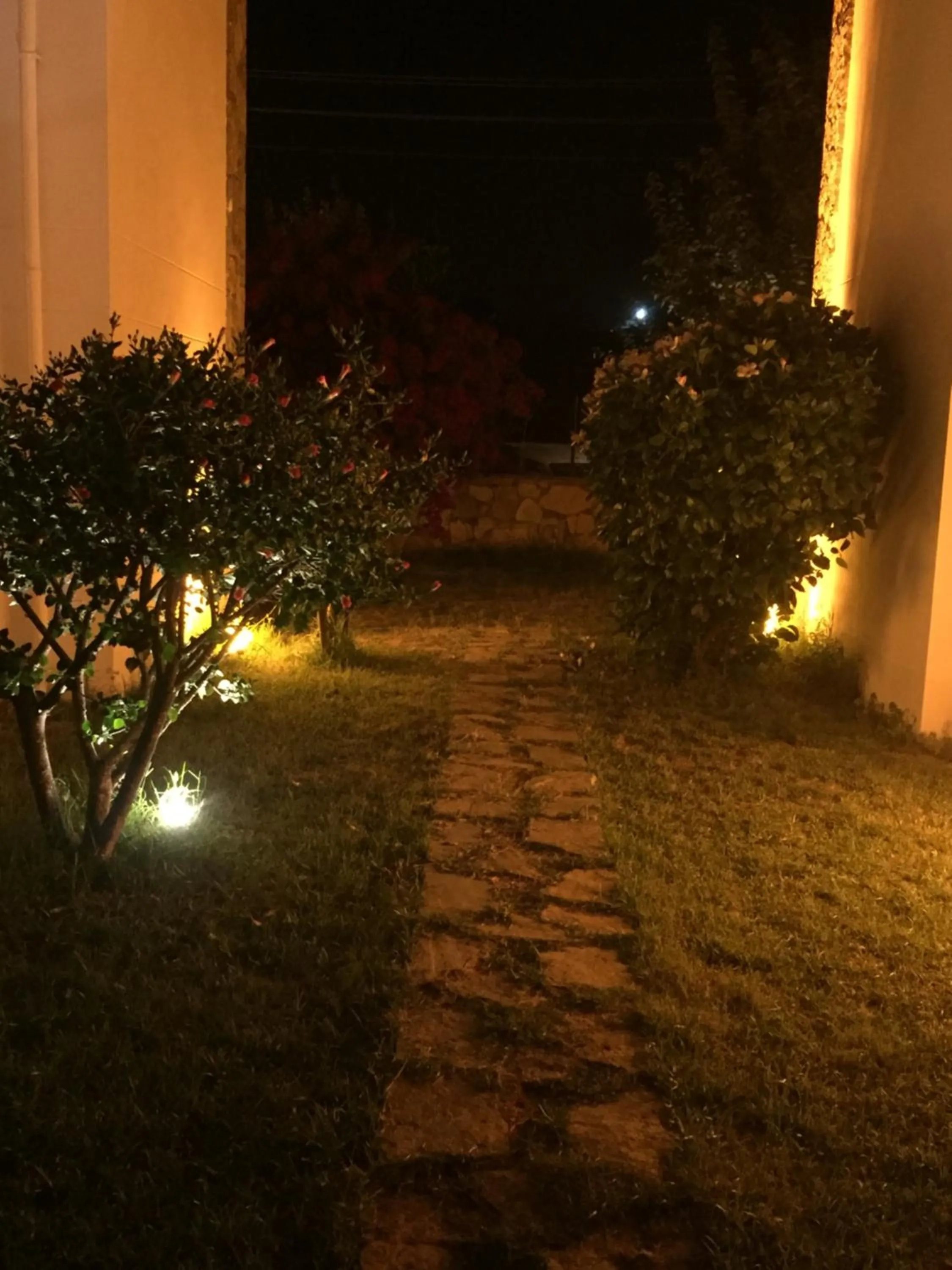 Garden in The Mara Suite