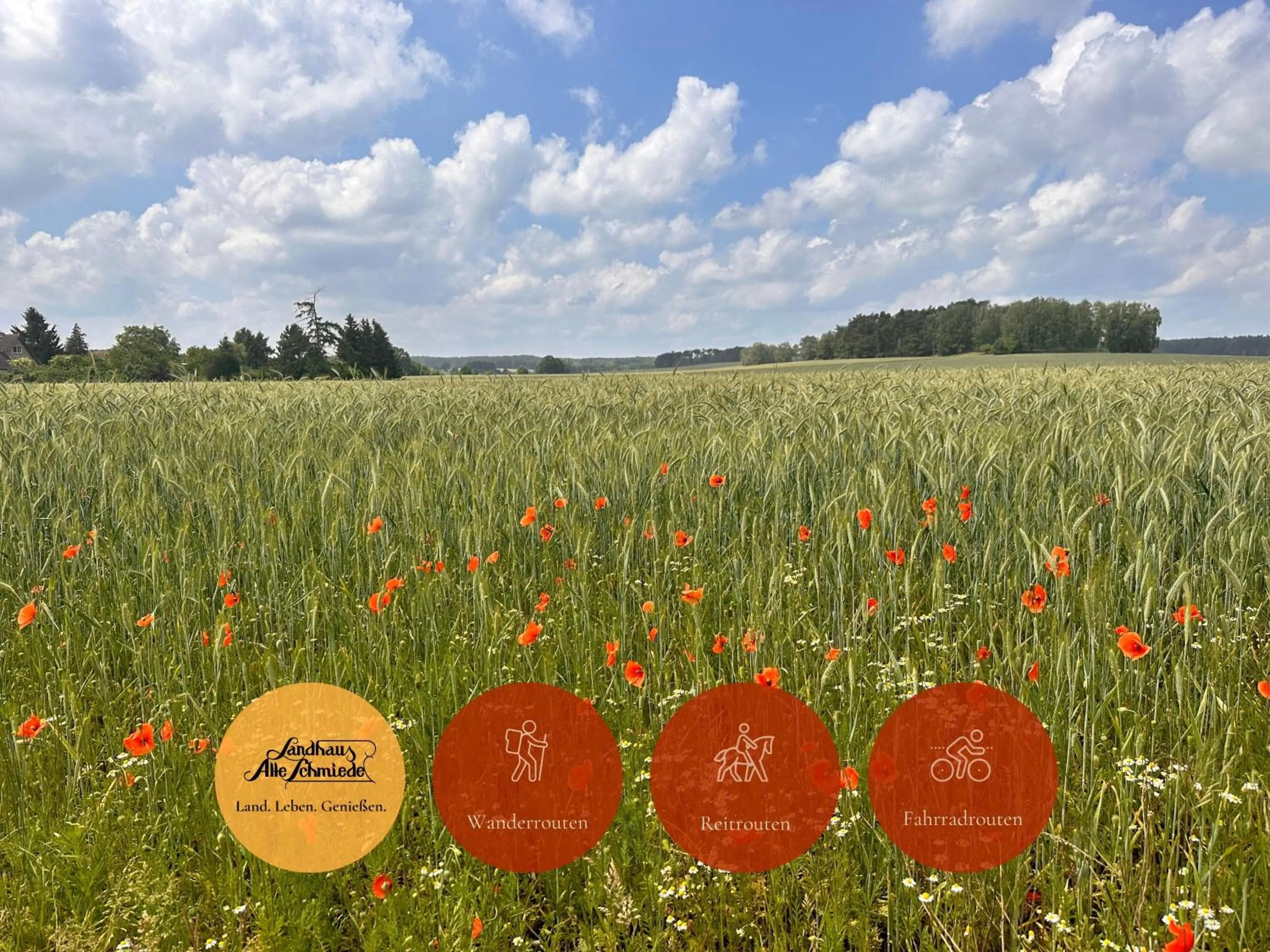 Natural landscape in Landhaus Alte Schmiede