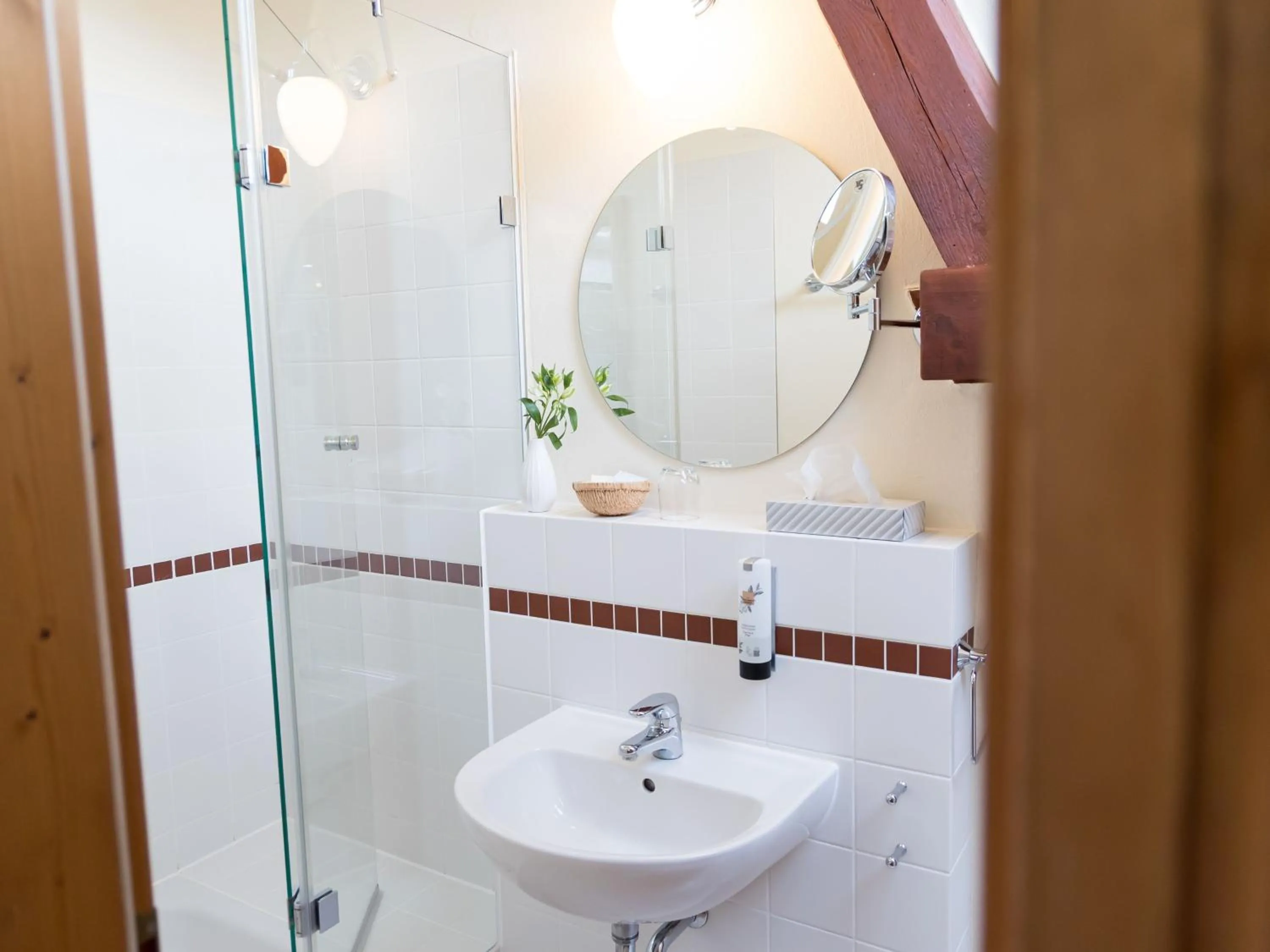 Shower in Landhaus Alte Schmiede