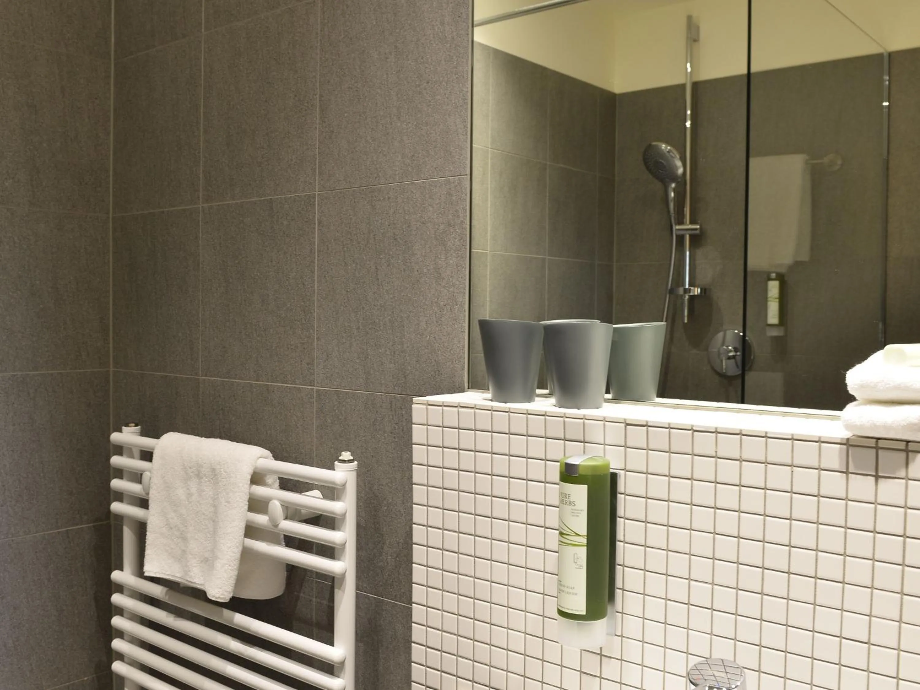 Shower in Landhaus Alte Schmiede