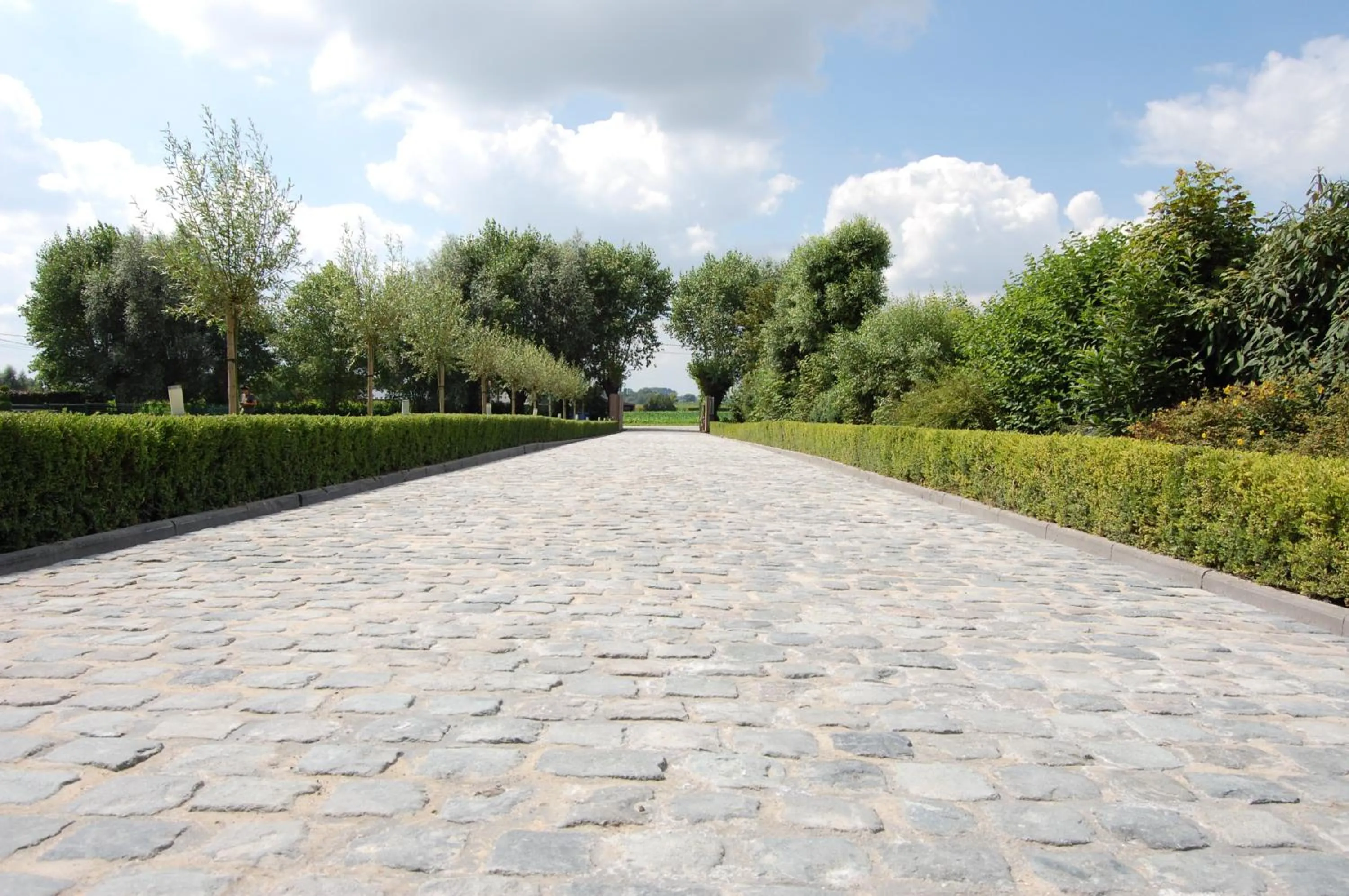 Balcony/Terrace in B&B Cottage Sandfort