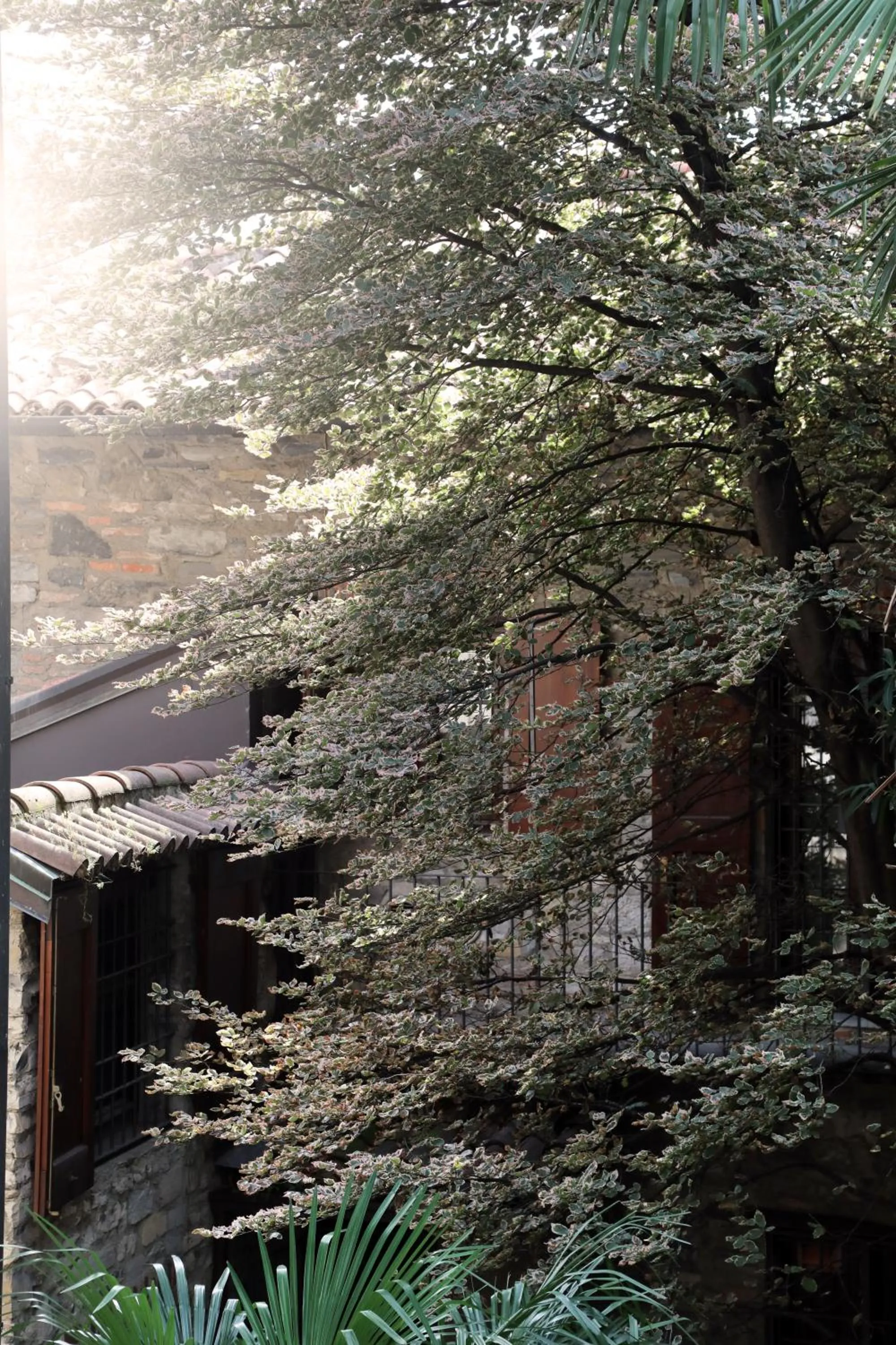 Property building in Suites&Atelier Lake Como