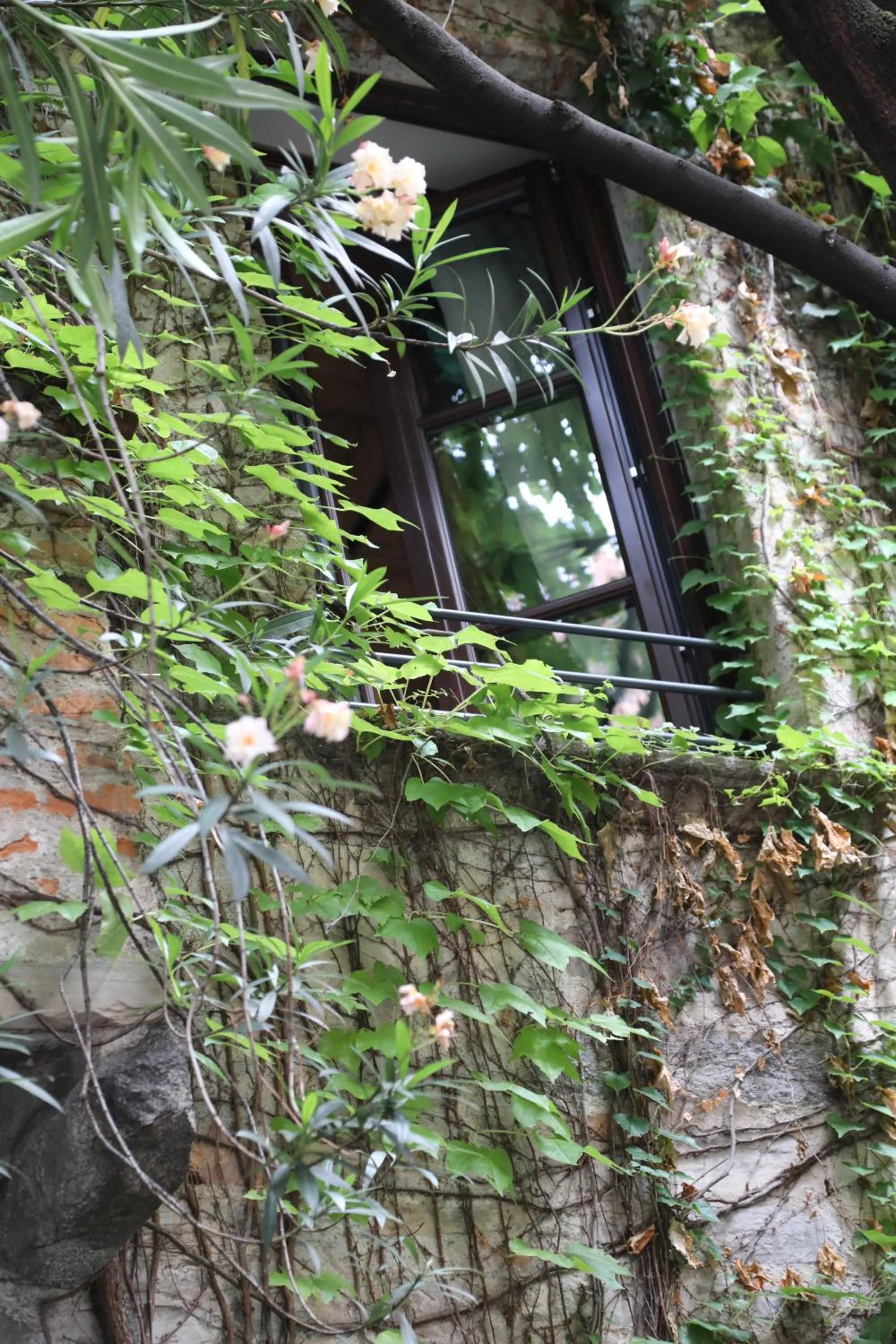 Facade/entrance in Suites&Atelier Lake Como