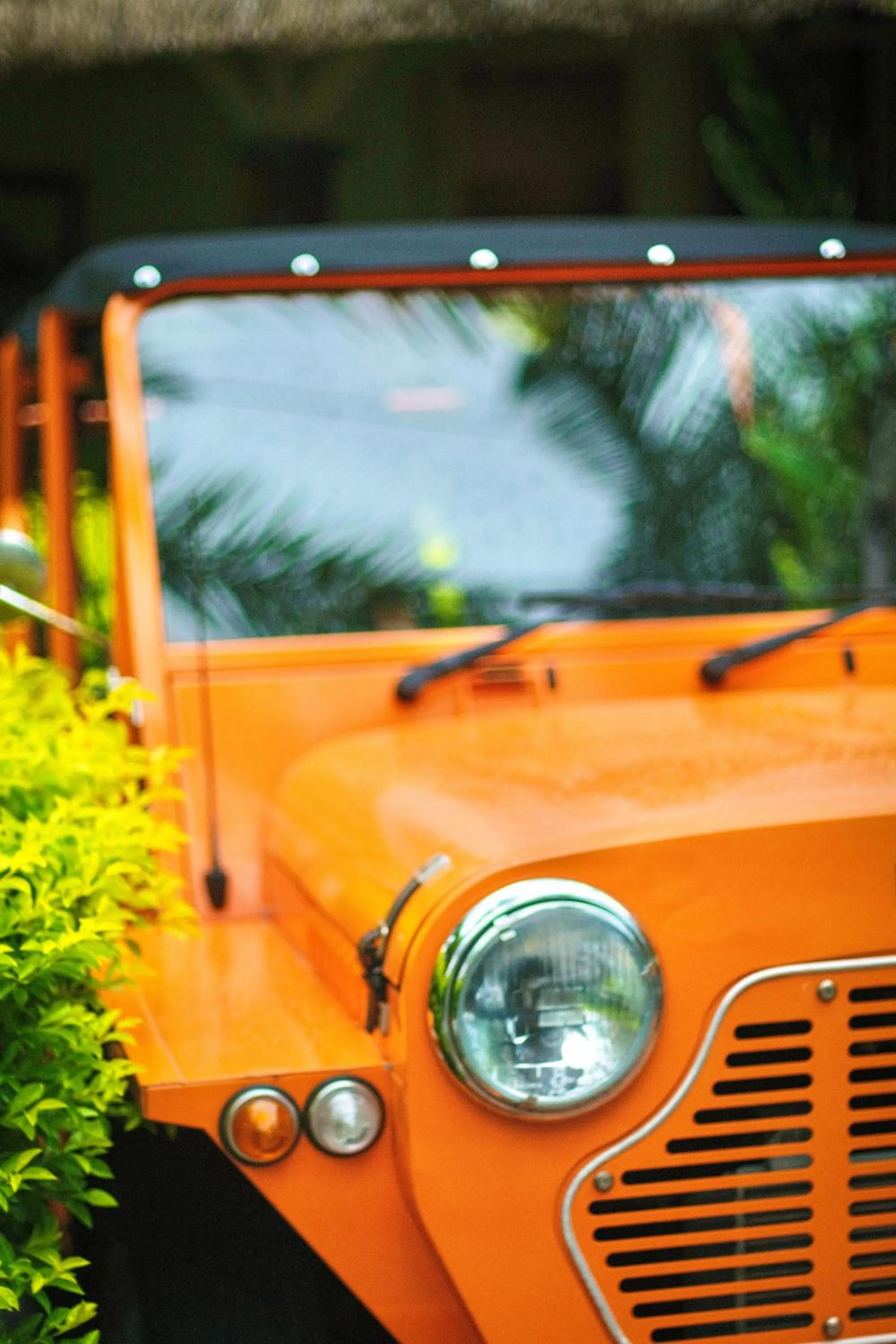 Activities in La Maison 20 Degrés Sud - Relais & Châteaux