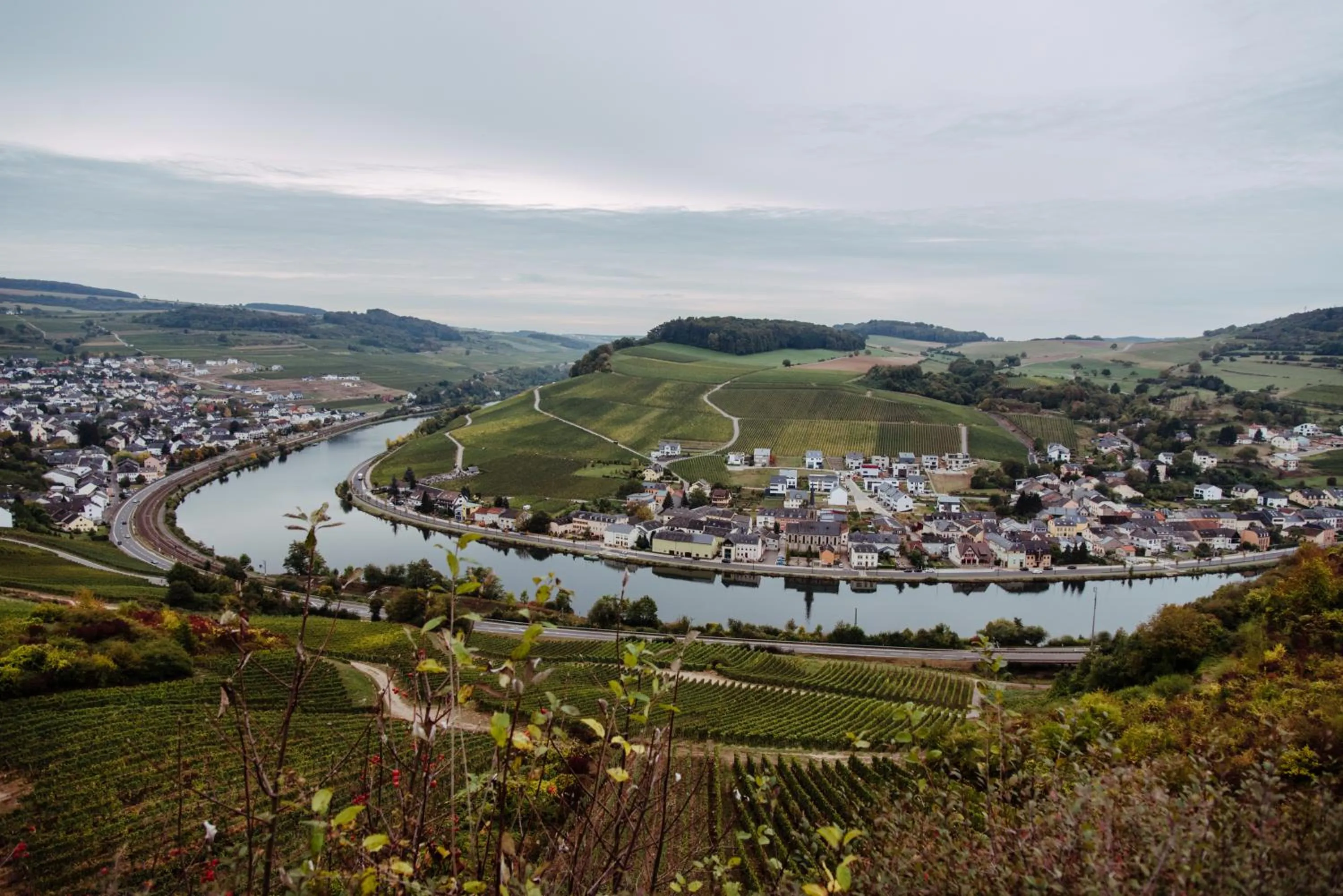 Natural landscape in Weingut und Gästehaus Zilliken