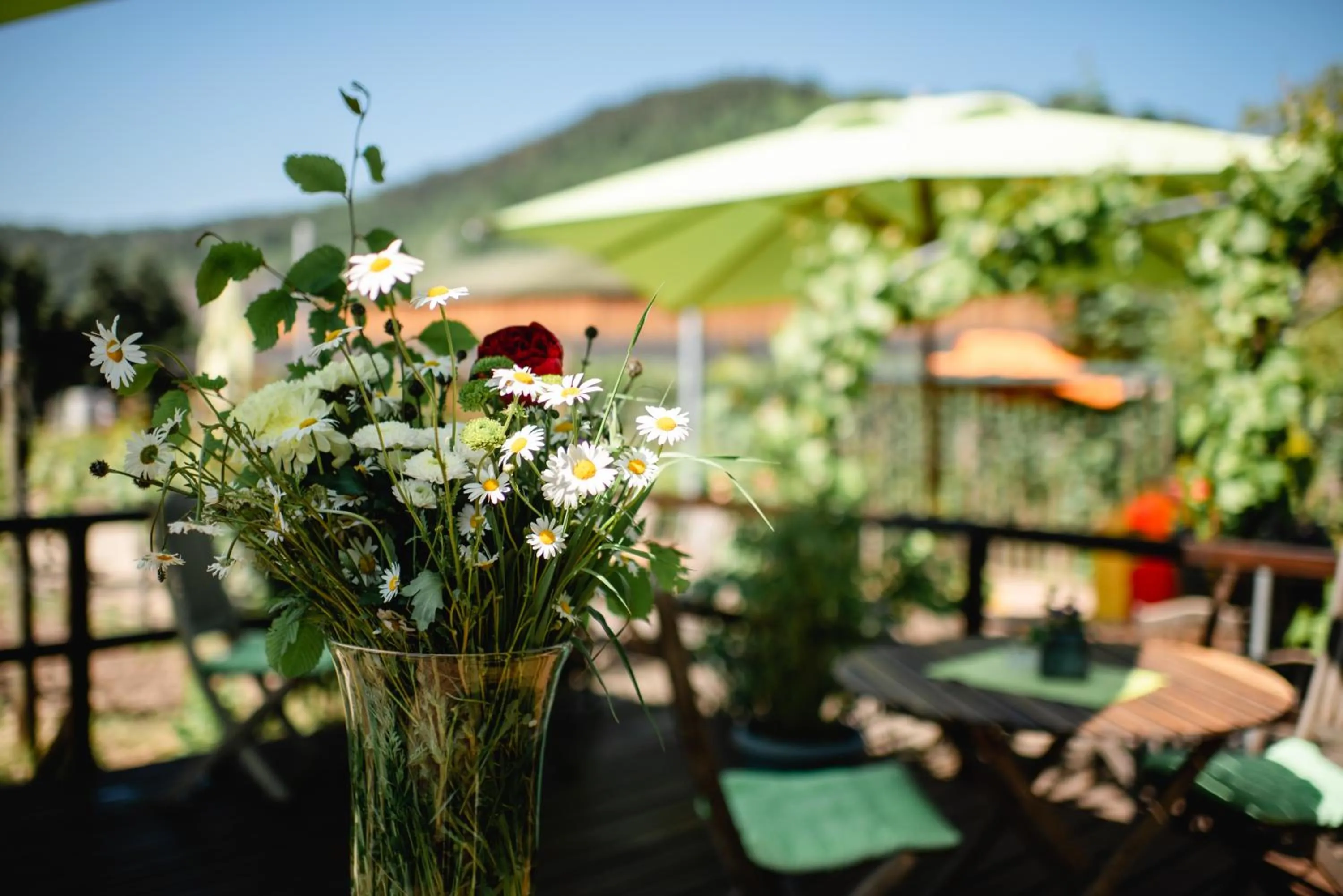 Restaurant/places to eat in Weingut und Gästehaus Zilliken