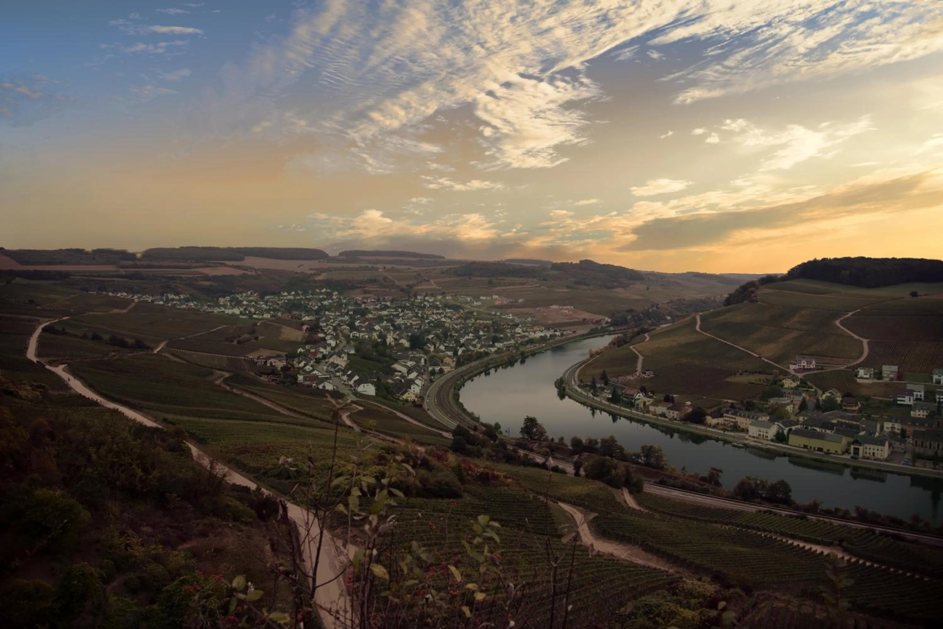 Natural landscape in Weingut und Gästehaus Zilliken