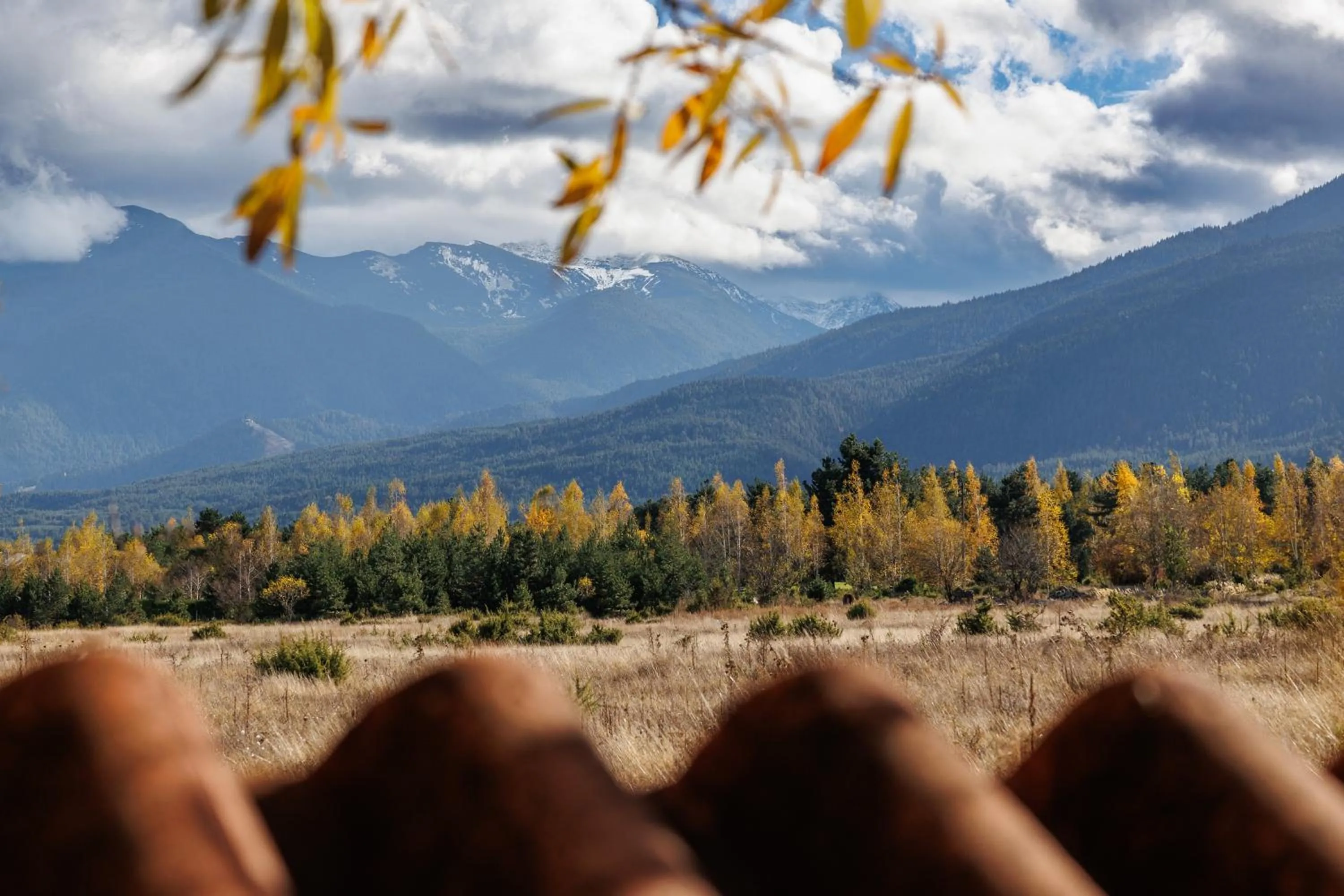 View (from property/room) in Green Wood Hotel & Spa