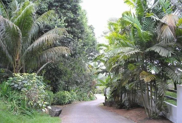 Area and facilities in Kokogrove Chalets