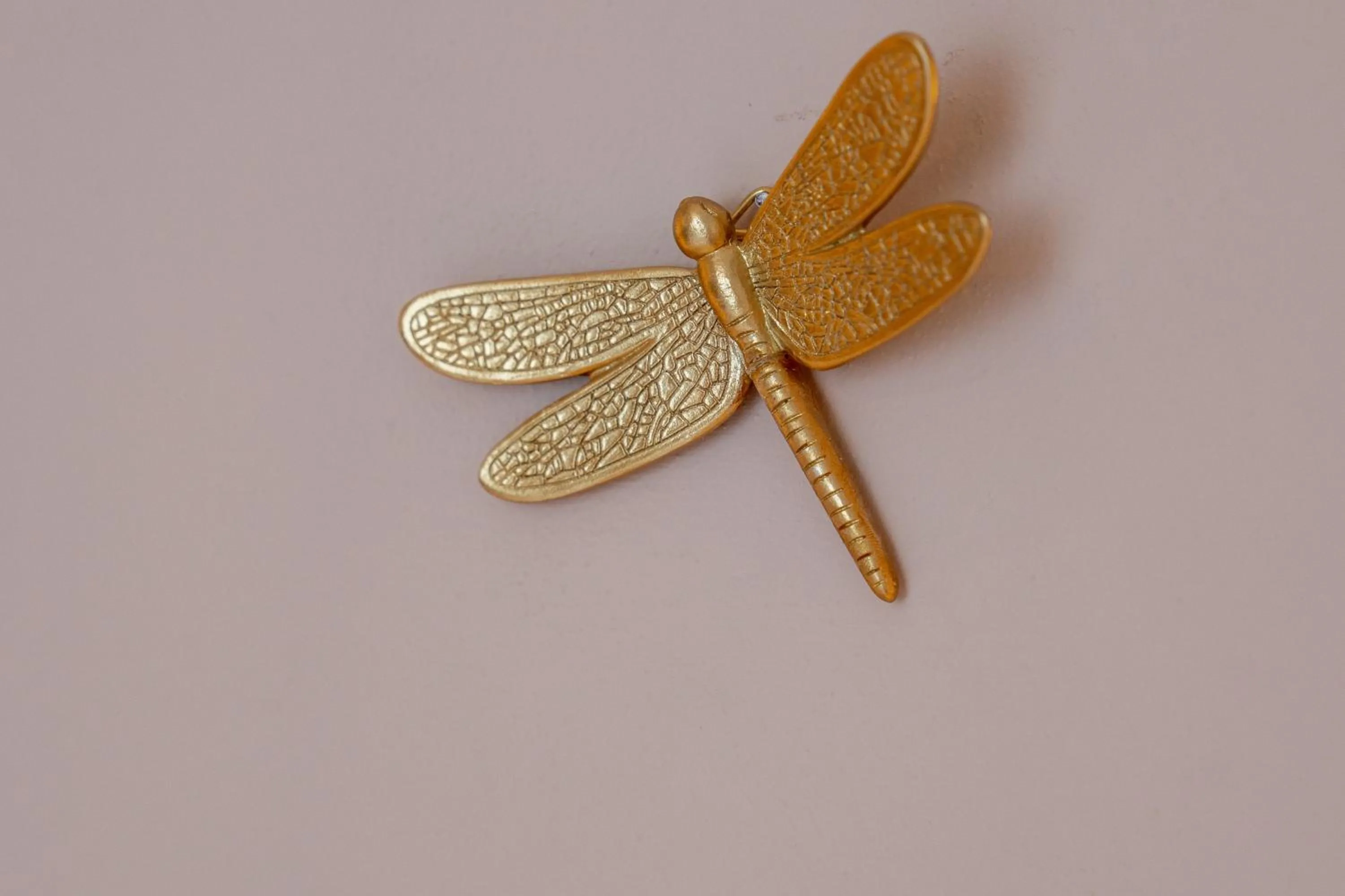 Decorative detail in I Remi Del Prione by Le 5 Terre La Spezia