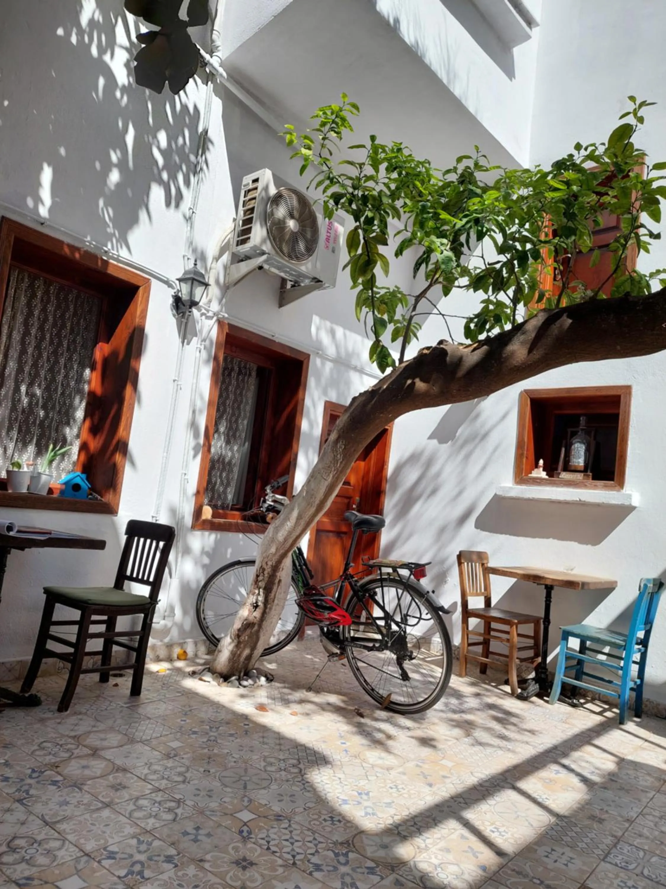 Garden in Lily Town Hotel