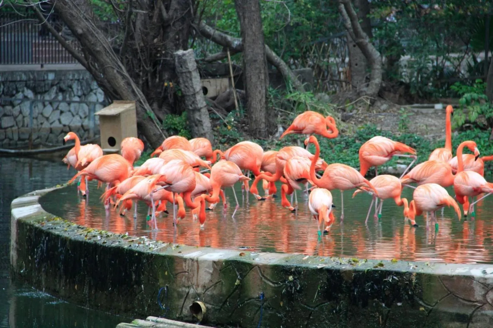 City view in Paco Hotel BeiJing Road Metro Guangzhou
