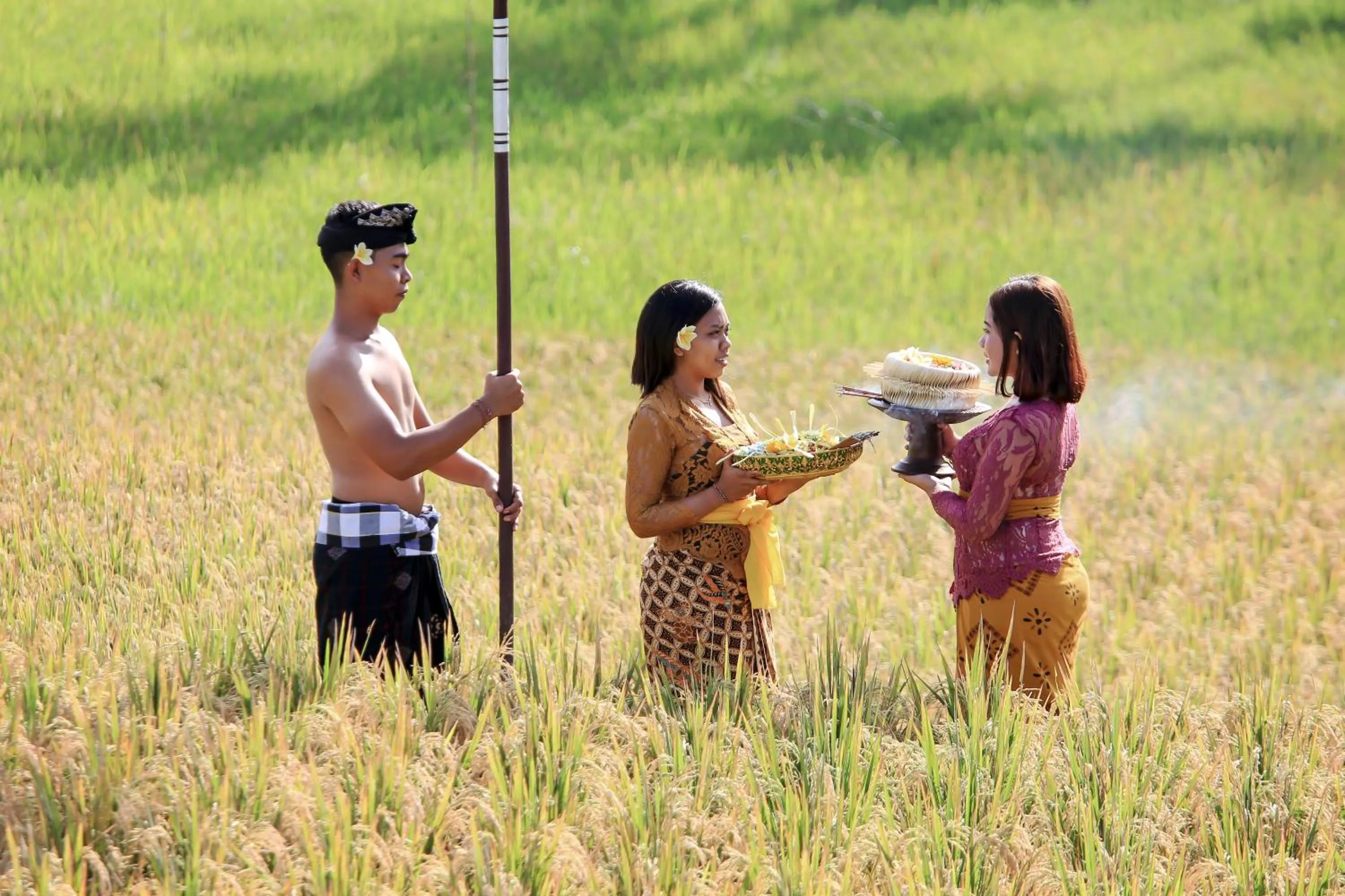 Activities in PAWANA VILLAS