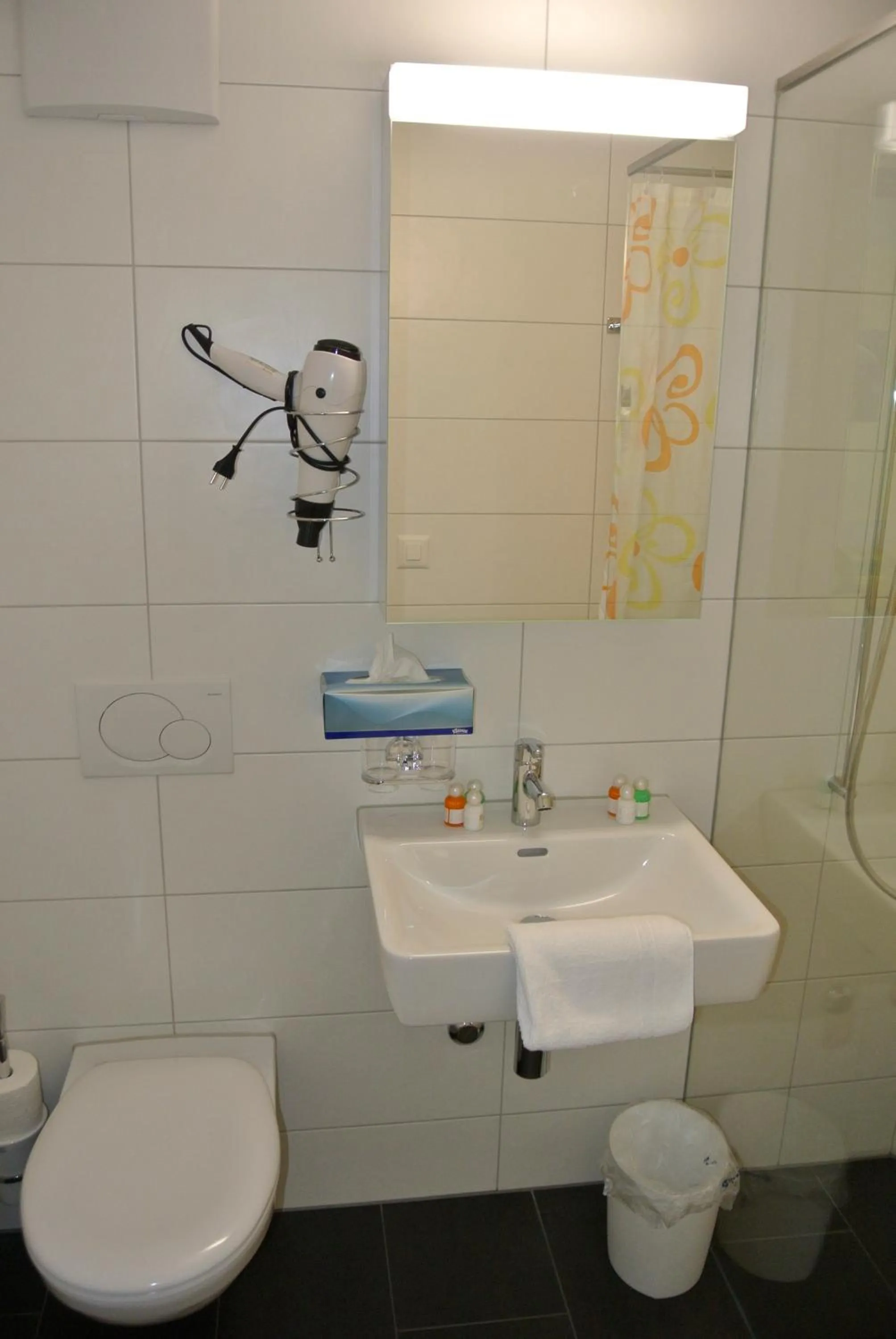 Shower in Hotel Garni Bären Bazenheid