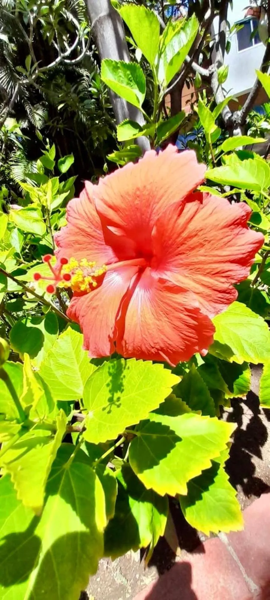 Property building in La Paloma Oceanfront Retreat