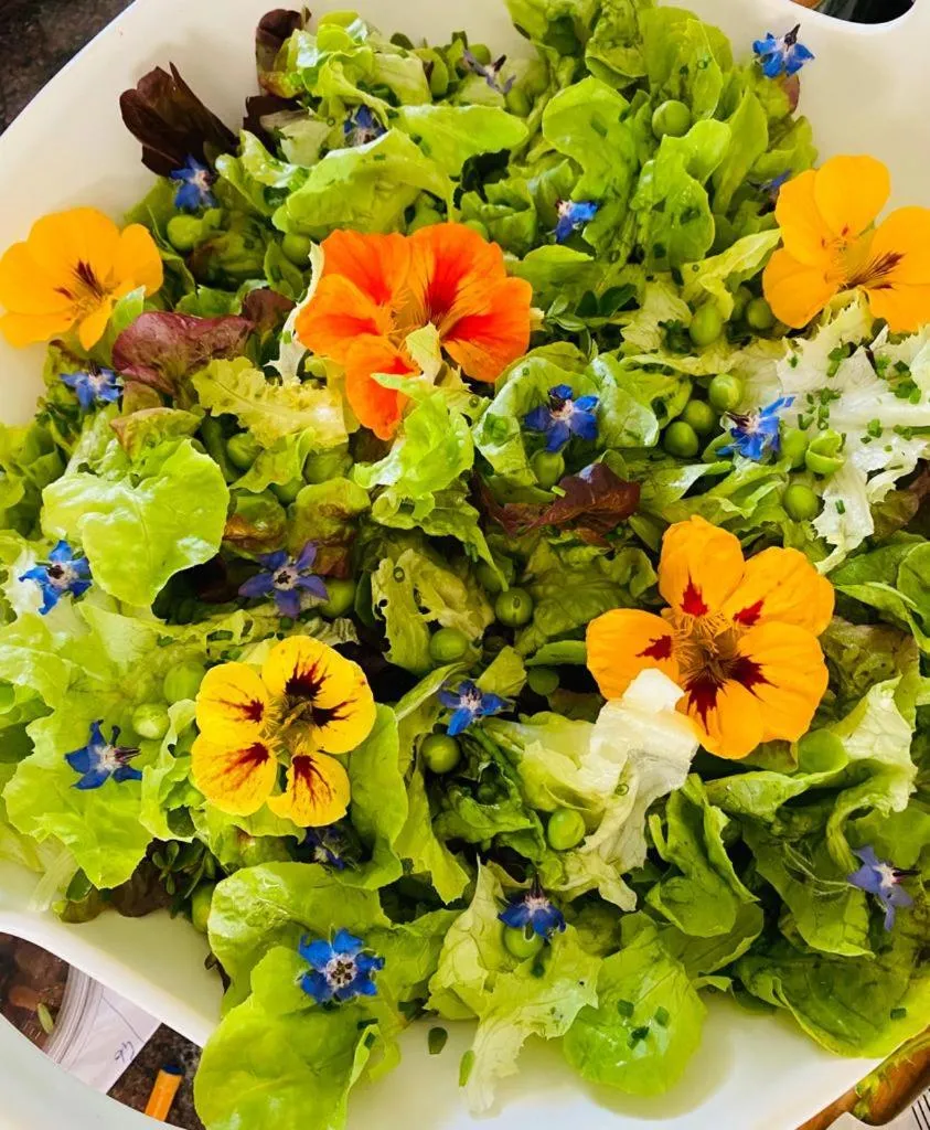 Restaurant/places to eat in Domaine de Séguéla